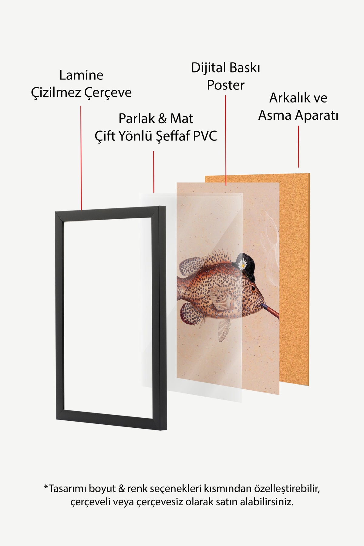 Şapkalı Balık ve Papatya Poster – Siyah Çerçeveli Tablo