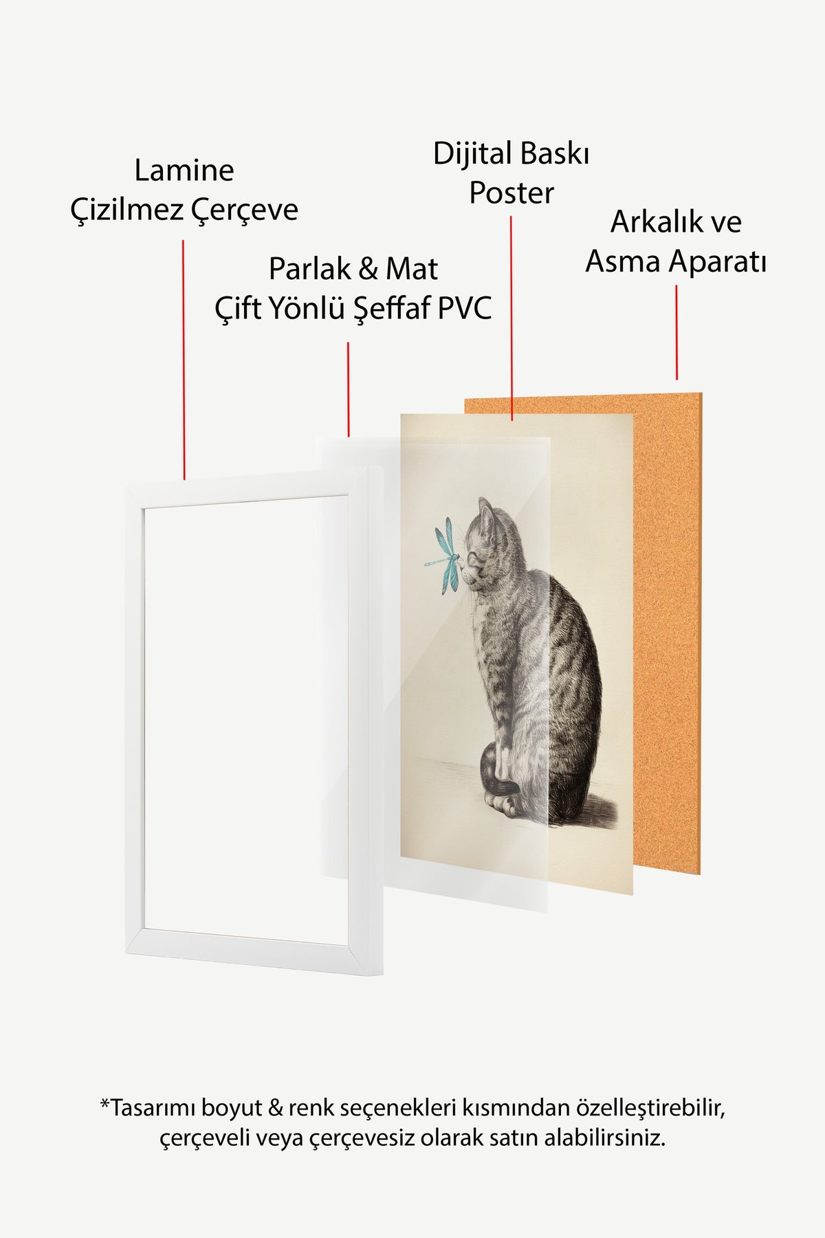 Yusufçuklu Yavru Kedi Çizimi Poster – Beyaz Çerçeveli Tablo
