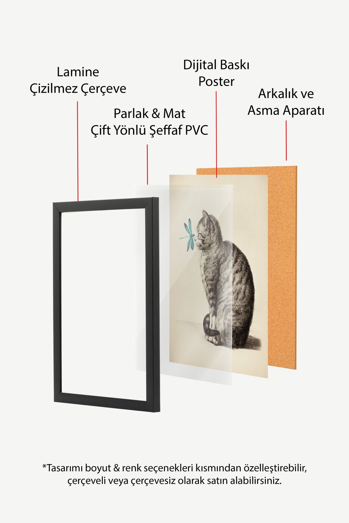 Yusufçuklu Yavru Kedi Çizimi Poster – Siyah Çerçeveli Tablo