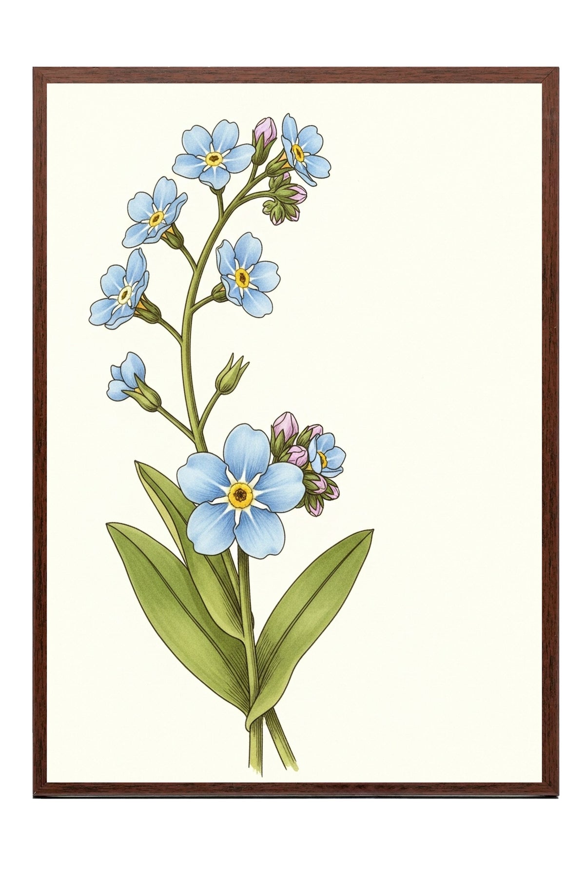 Unutma Beni Çiçekleri Poster – Kahverengi Çerçeveli Tablo
