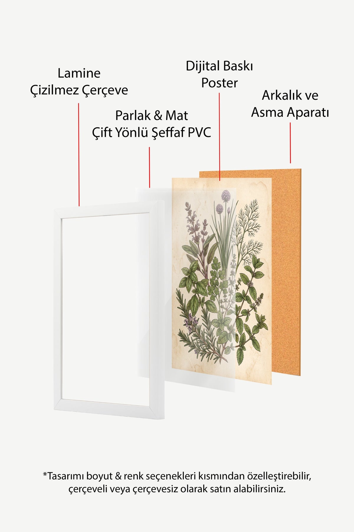 Şifalı Otlar Botanik Çizimi Poster – Beyaz Çerçeveli Tablo