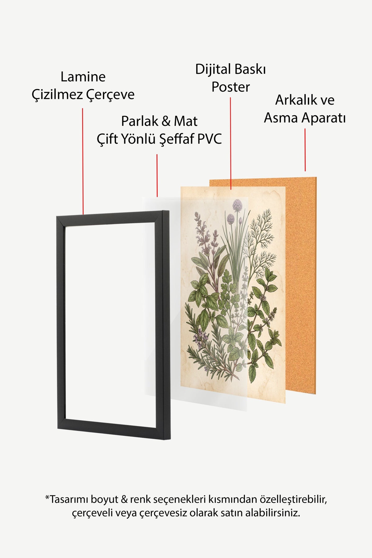Şifalı Otlar Botanik Çizimi Poster – Siyah Çerçeveli Tablo