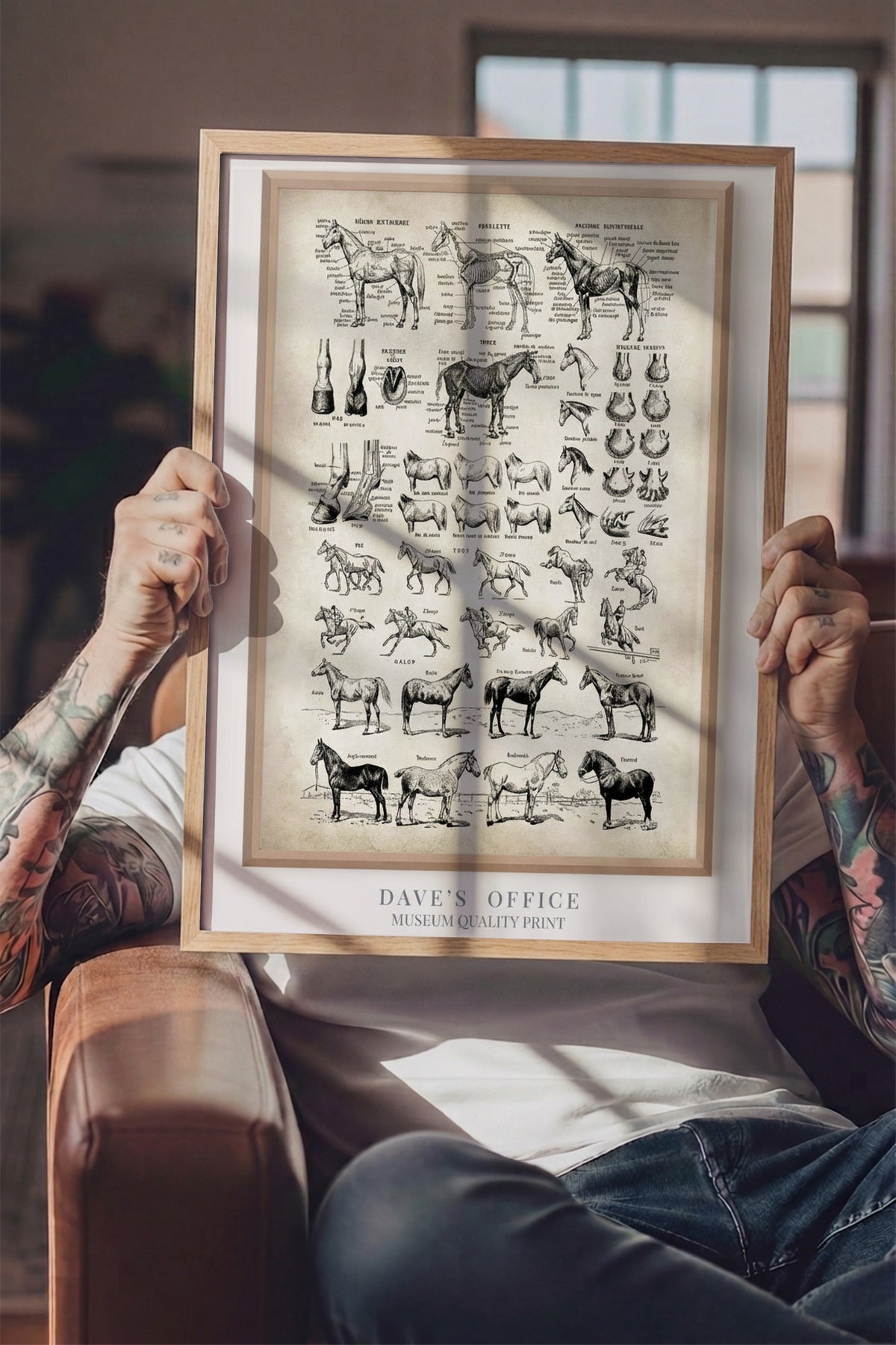 At Anatomisi Bilimsel Çizim Serisi Poster – Ahşap Çerçeveli Tablo