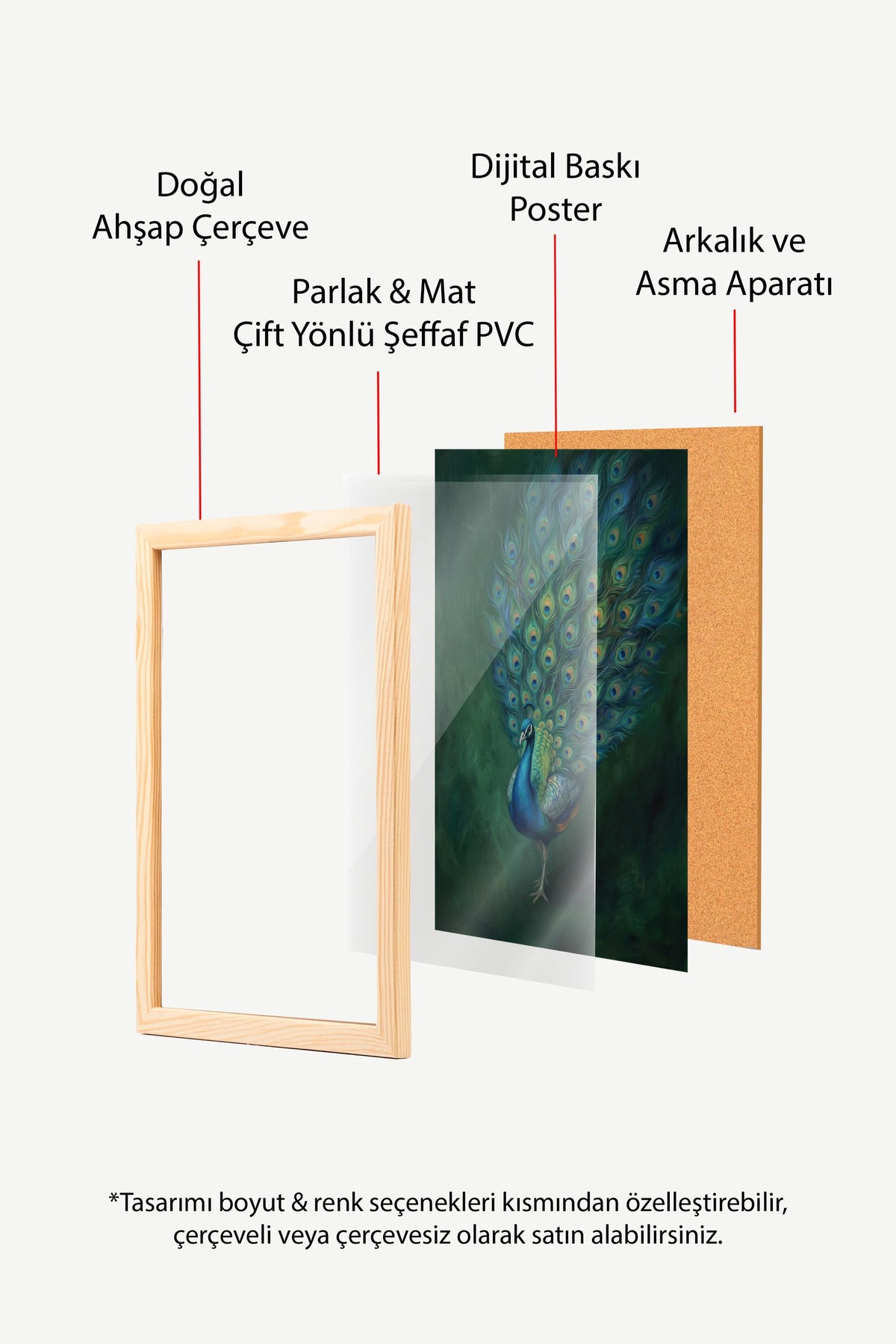 Tüylerini Açmış Tavus Kuşu Poster – Ahşap Çerçeveli Tablo