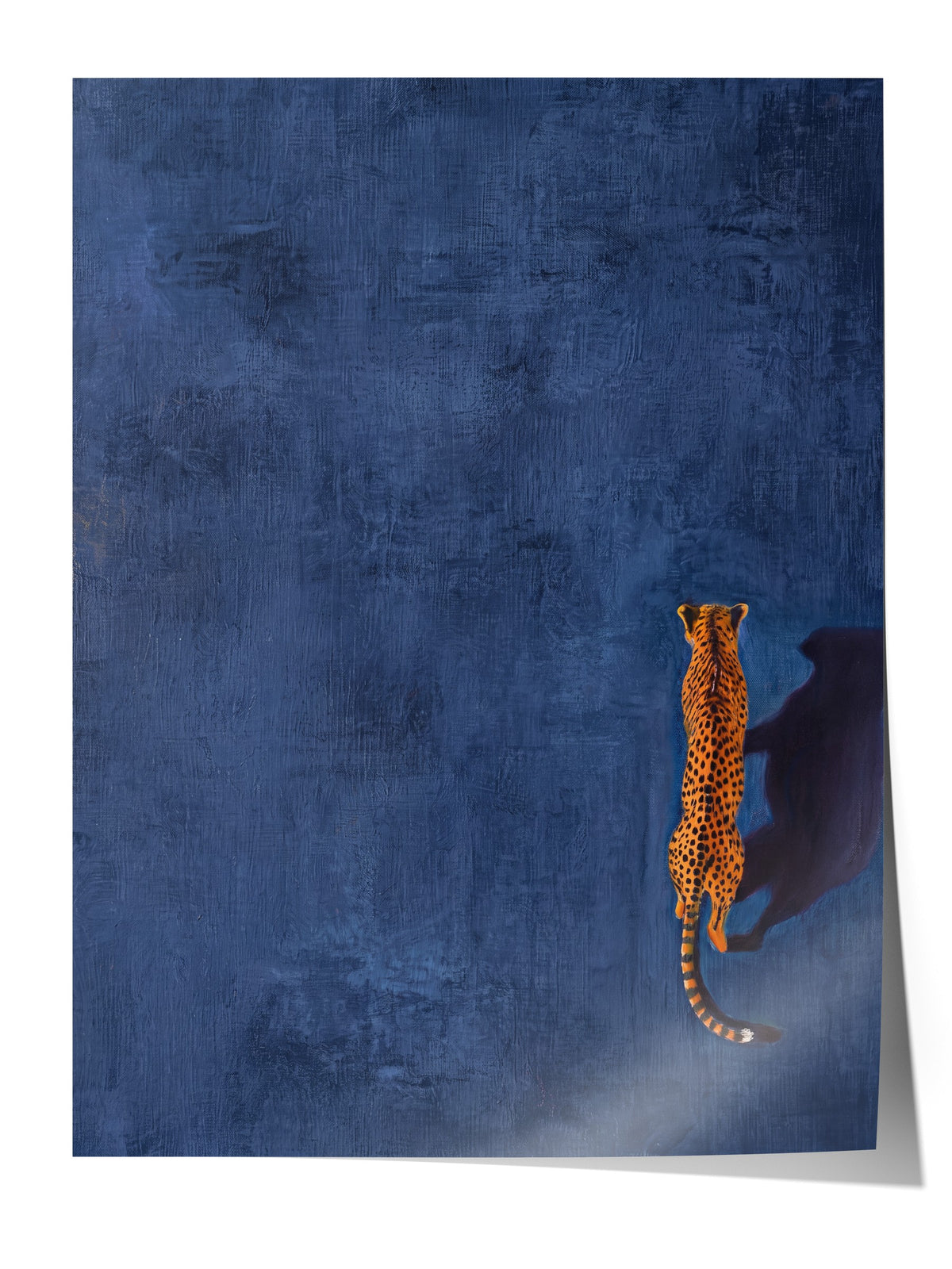 Gölgesindeki Çita Çerçevesiz Poster