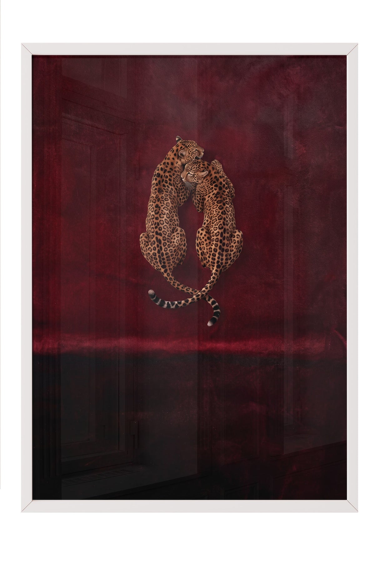 Kırmızı Kadifede Sarılan Leoparlar Poster – Beyaz Çerçeveli Tablo