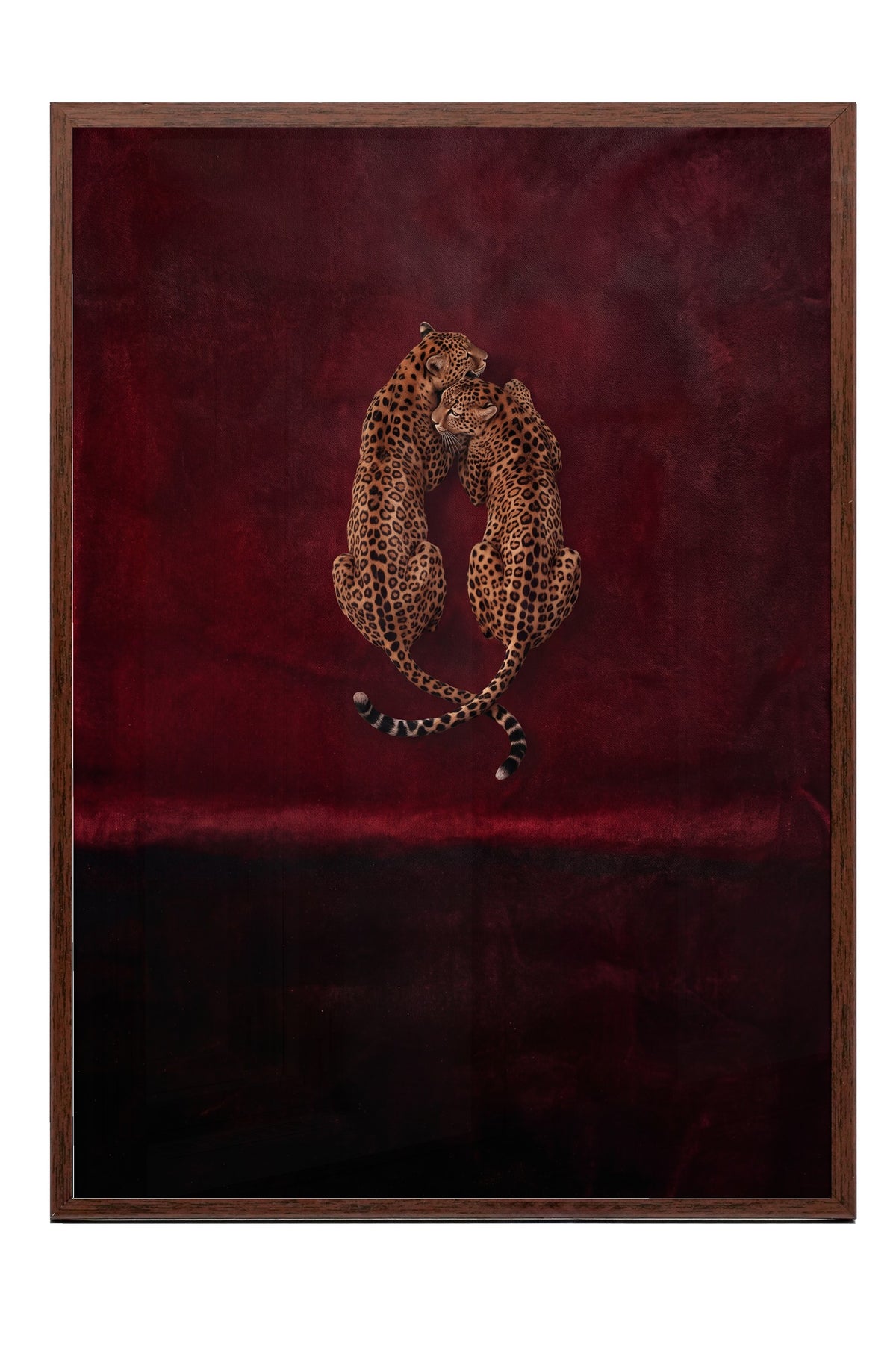 Kırmızı Kadifede Sarılan Leoparlar Poster – Kahverengi Çerçeveli Tablo