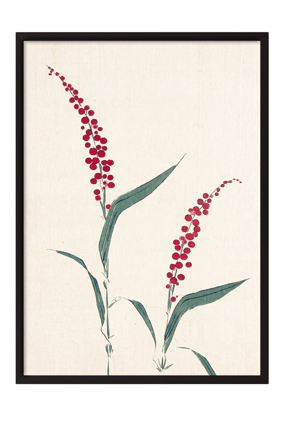Modern Çiçek İllüstrasyonu Poster – Siyah Çerçeveli Tablo