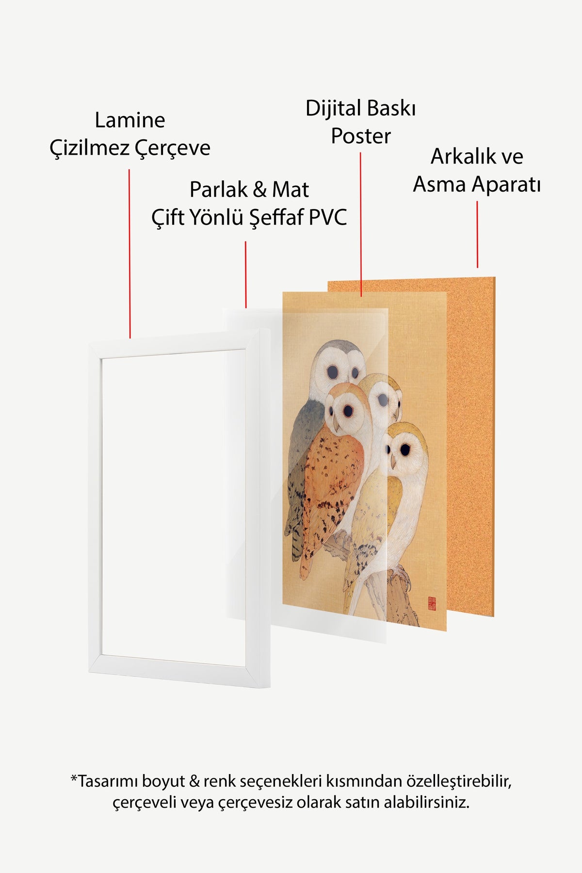 Dört Baykuş Ailesi Poster – Beyaz Çerçeveli Tablo