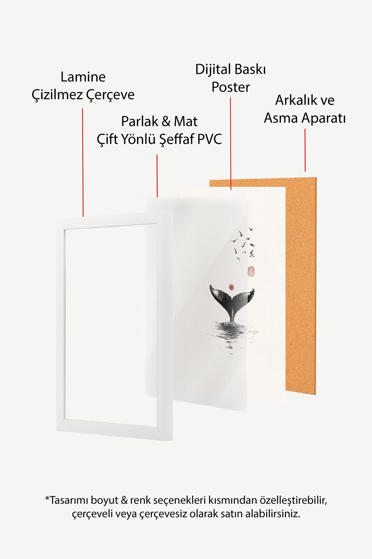 Kuyruğunu Sallayan Balina Poster – Beyaz Çerçeveli Tablo