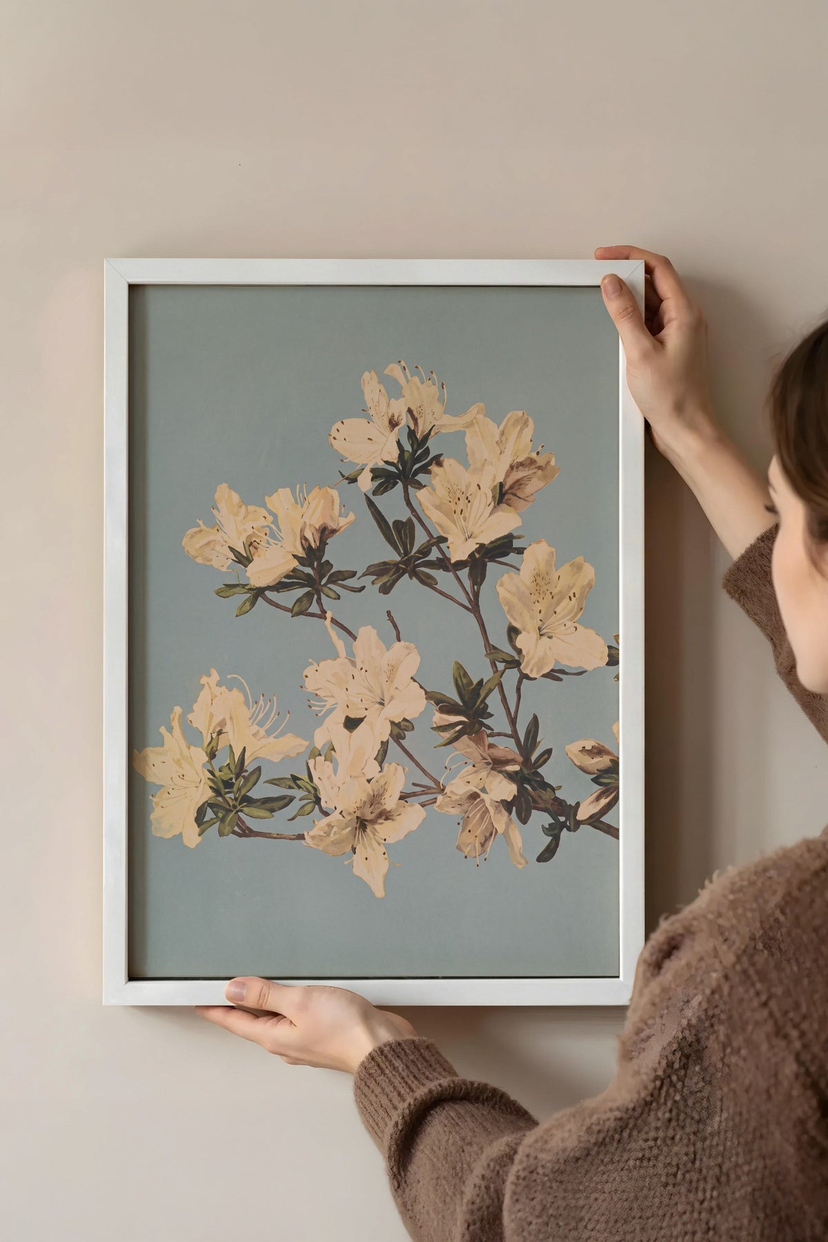 Krem Azalea Dalları Poster – Beyaz Çerçeveli Tablo