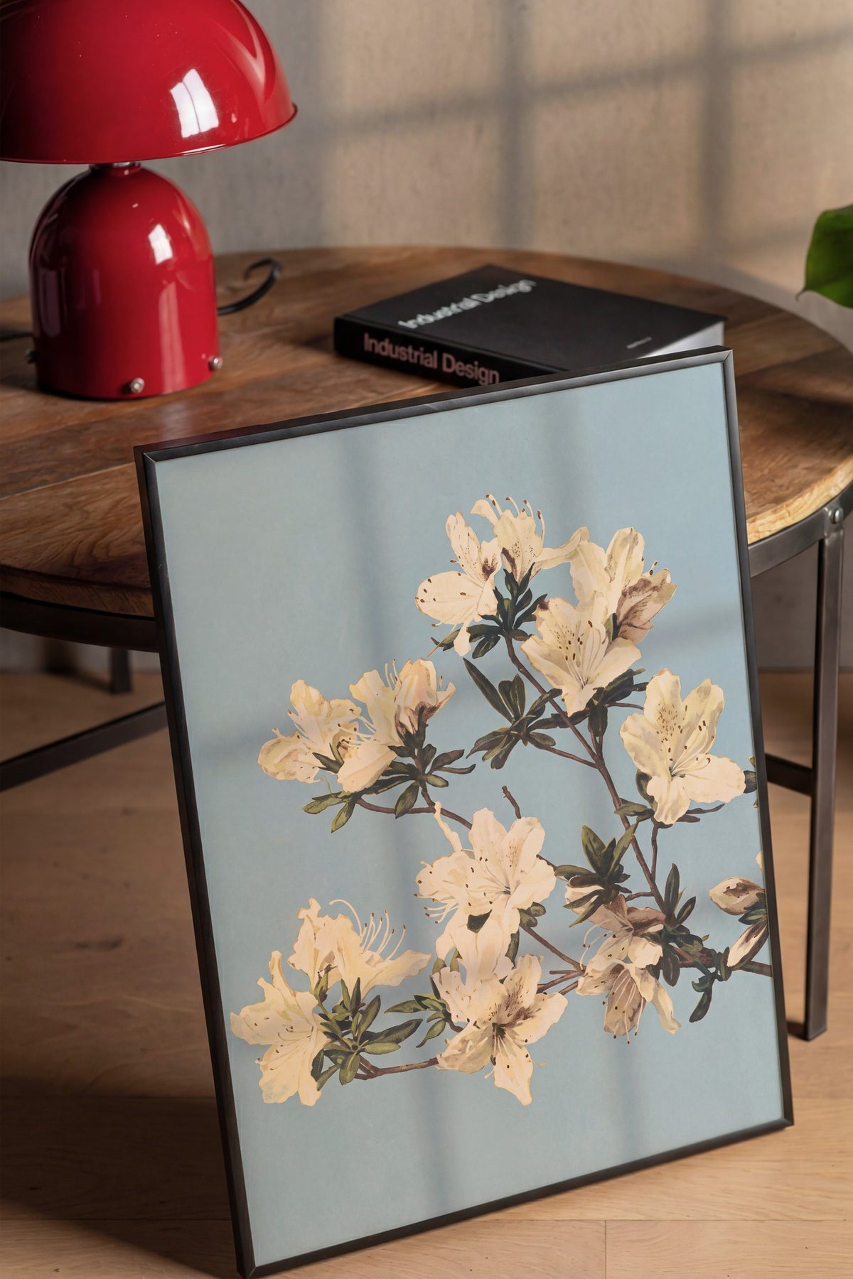 Krem Azalea Dalları Poster – Siyah Çerçeveli Tablo