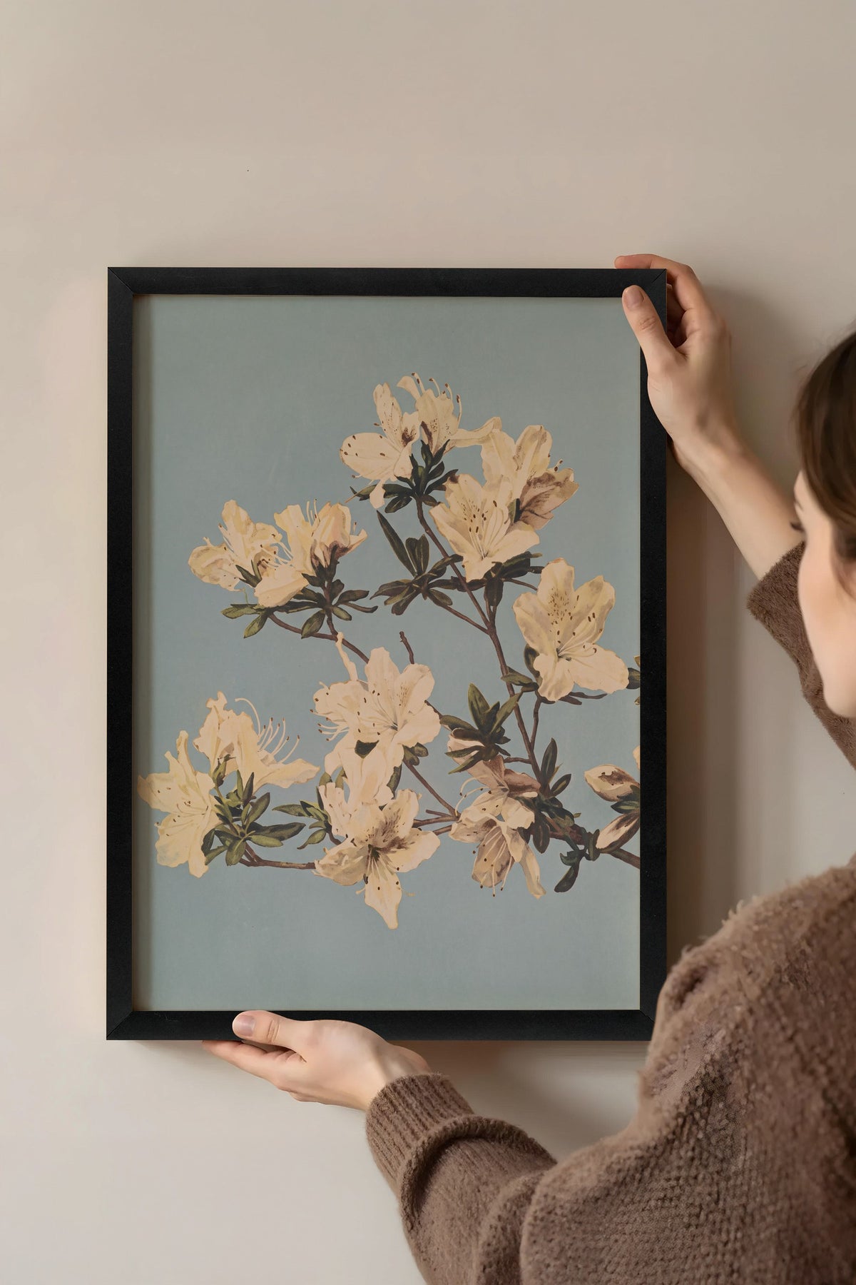 Krem Azalea Dalları Poster – Siyah Çerçeveli Tablo