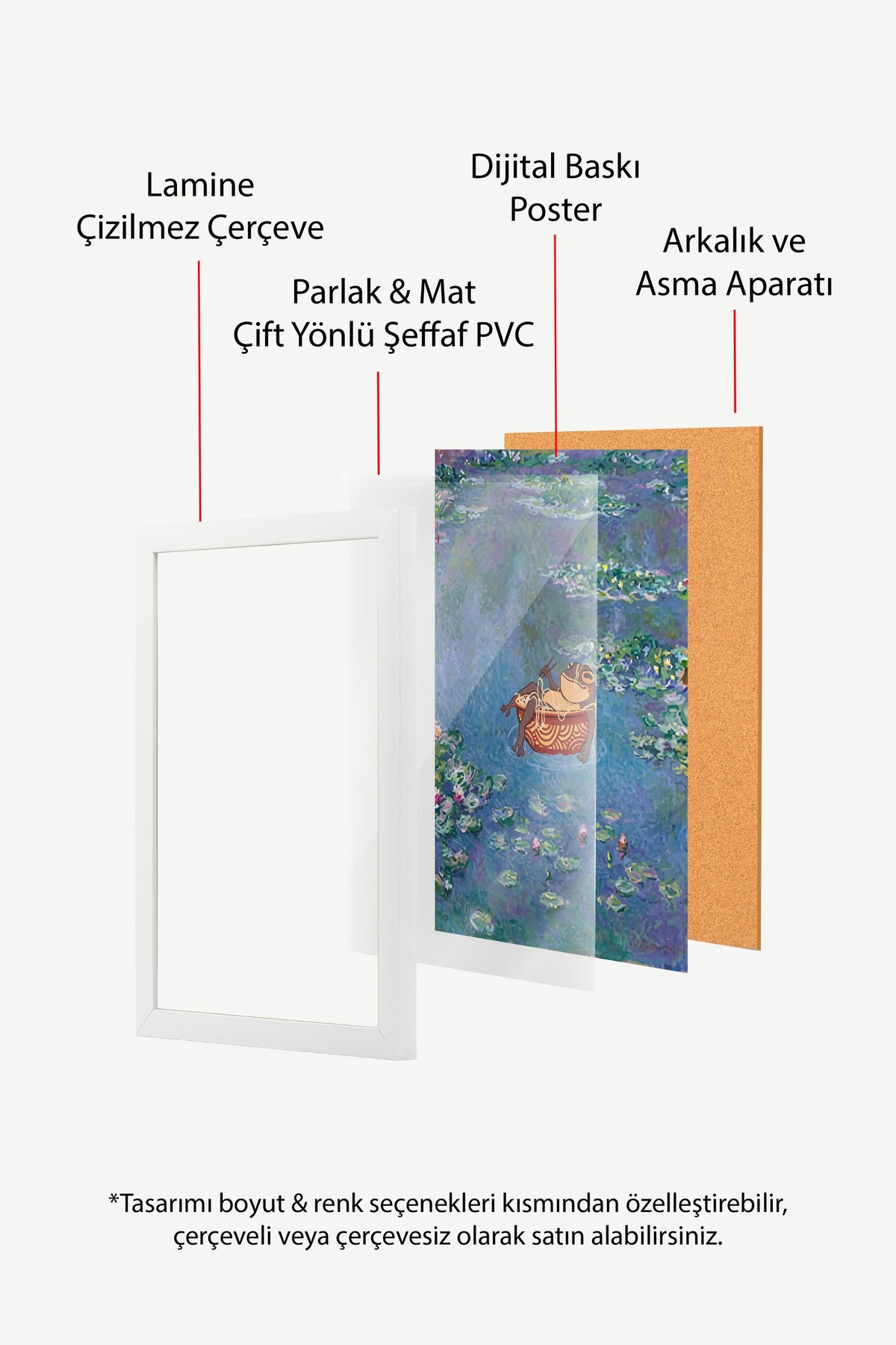 Nilüferli Gölette Erişte Keyfi Yapan Kurbağa Poster – Beyaz Çerçeveli Tablo