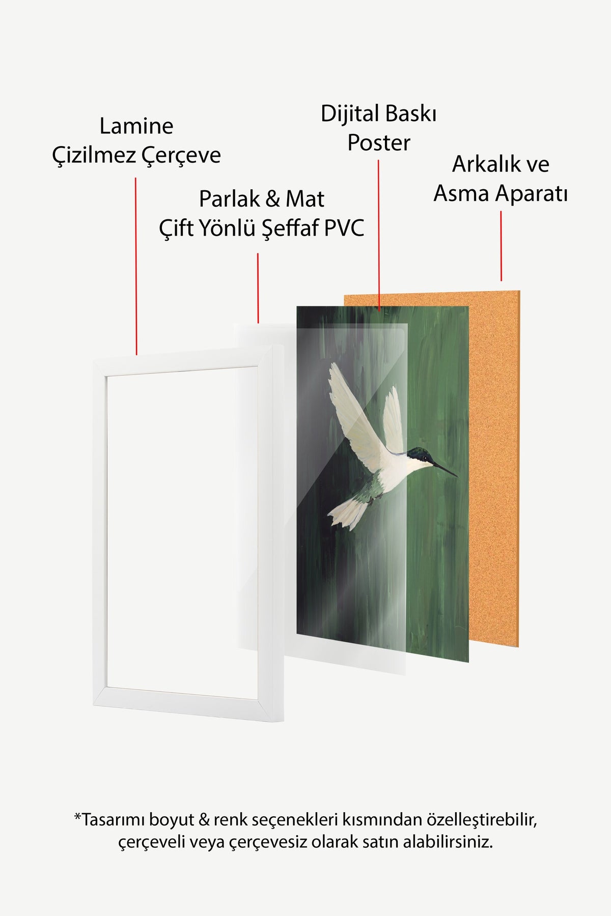 Uçan Kolibri Poster – Beyaz Çerçeveli Tablo