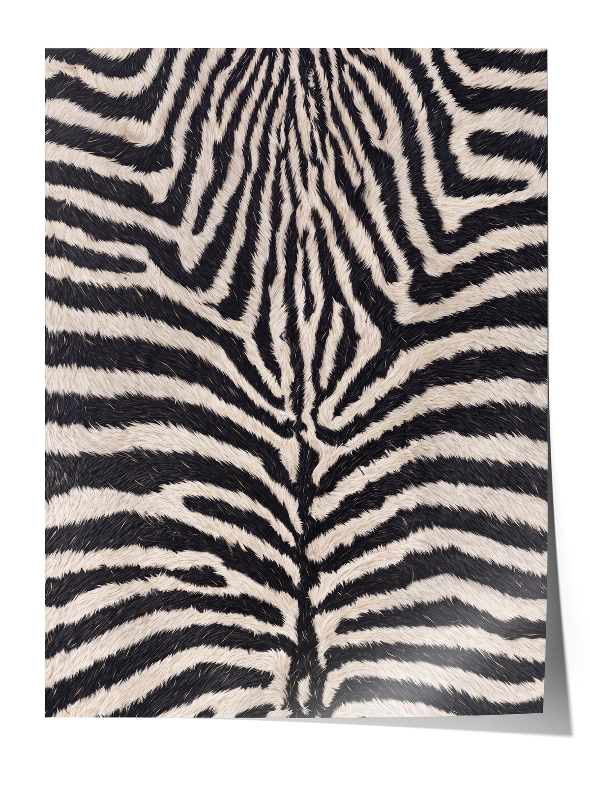 Zebra Deseni Doku Çerçevesiz Poster