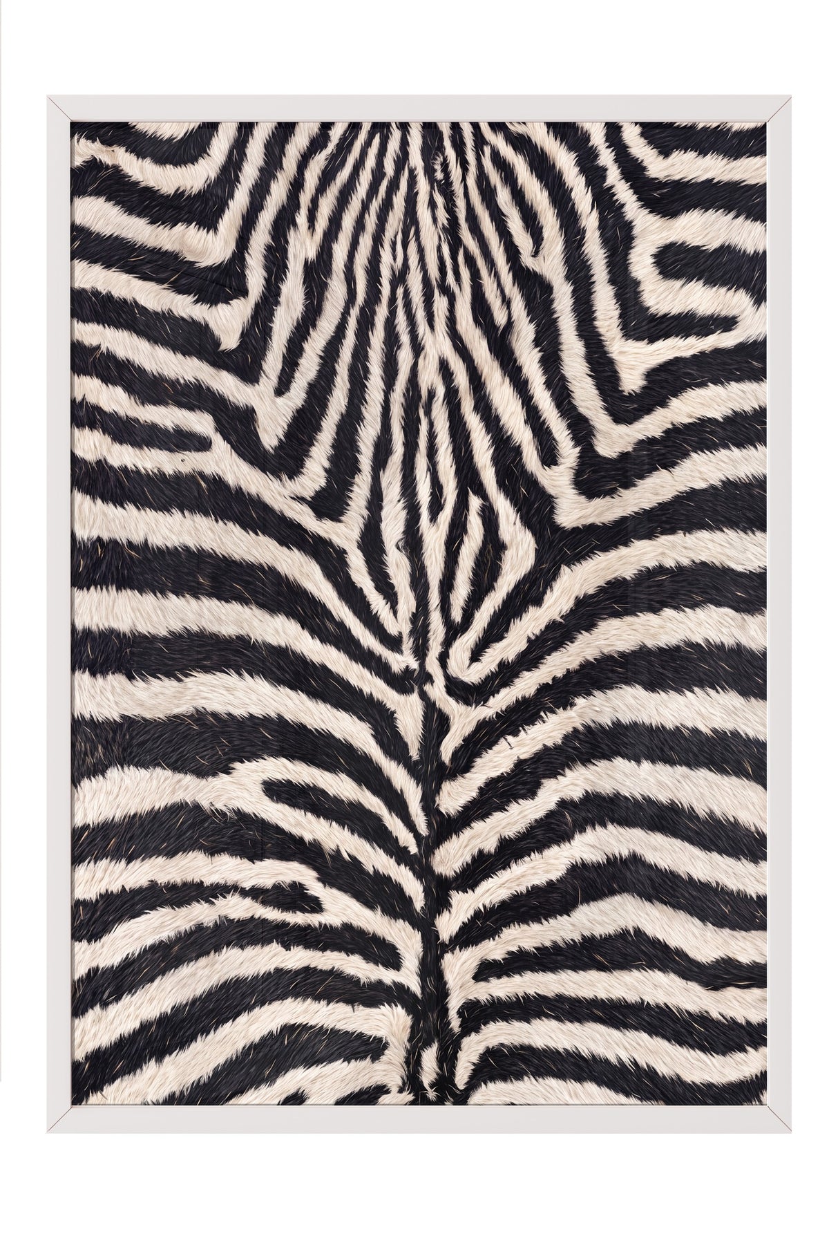 Zebra Deseni Doku Poster – Beyaz Çerçeveli Tablo