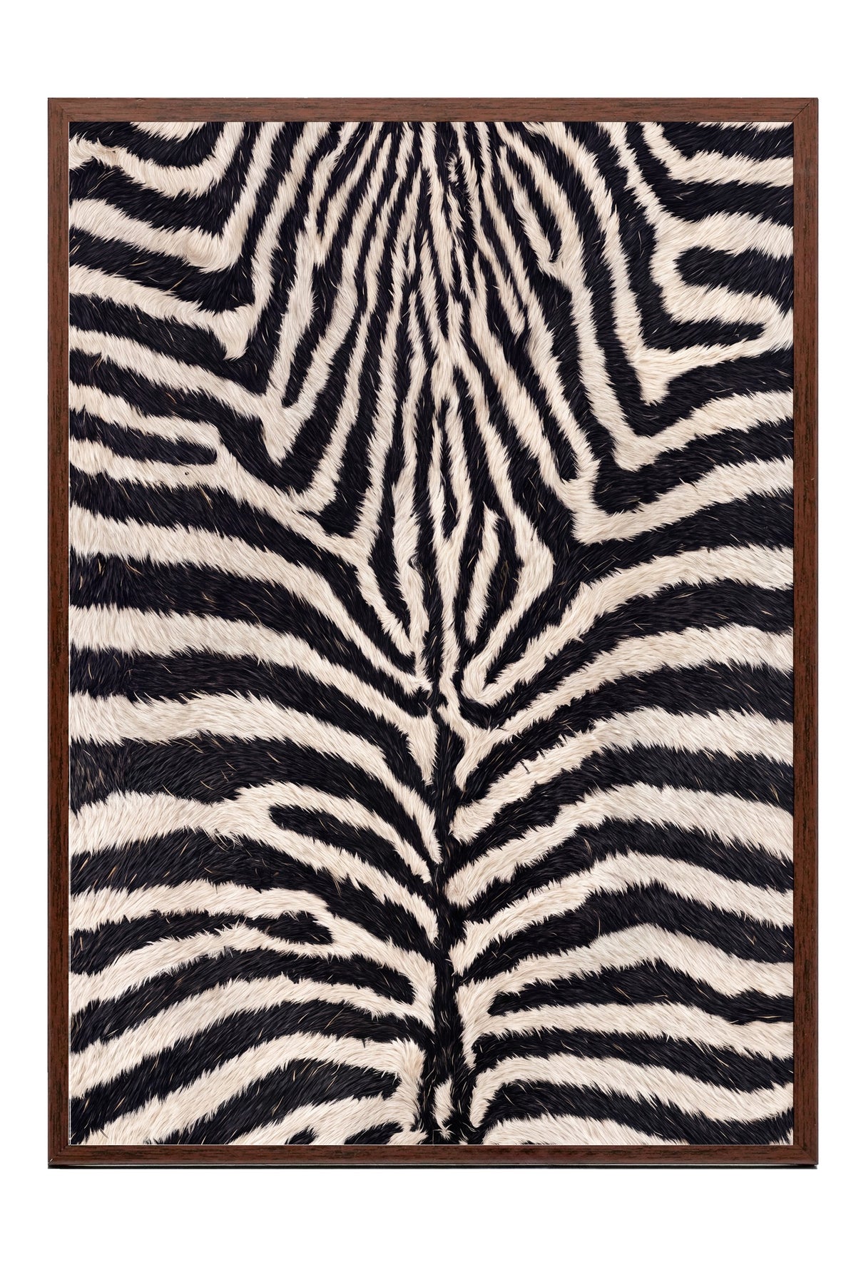 Zebra Deseni Doku Poster – Kahverengi Çerçeveli Tablo