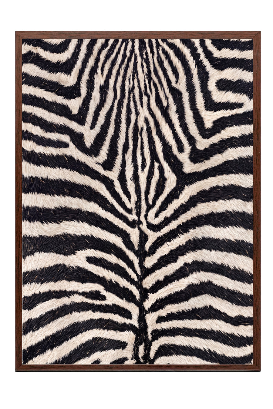 Zebra Deseni Poster – Kahverengi Çerçeveli Tablo