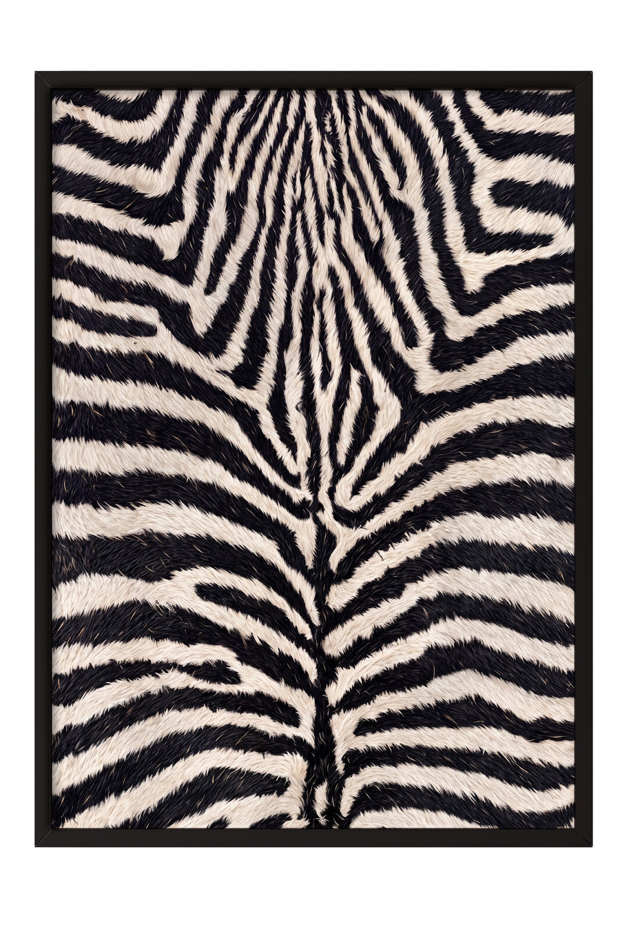 Zebra Deseni Poster – Siyah Çerçeveli Tablo