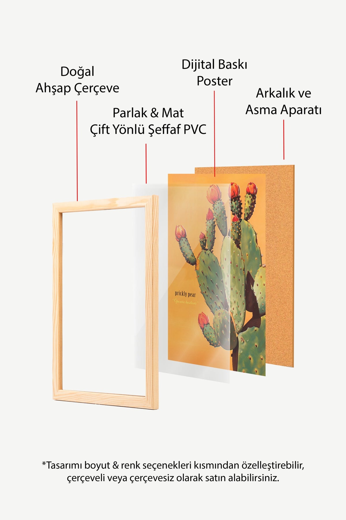 Çiçek Açan Kaktüs Poster – Ahşap Çerçeveli Tablo
