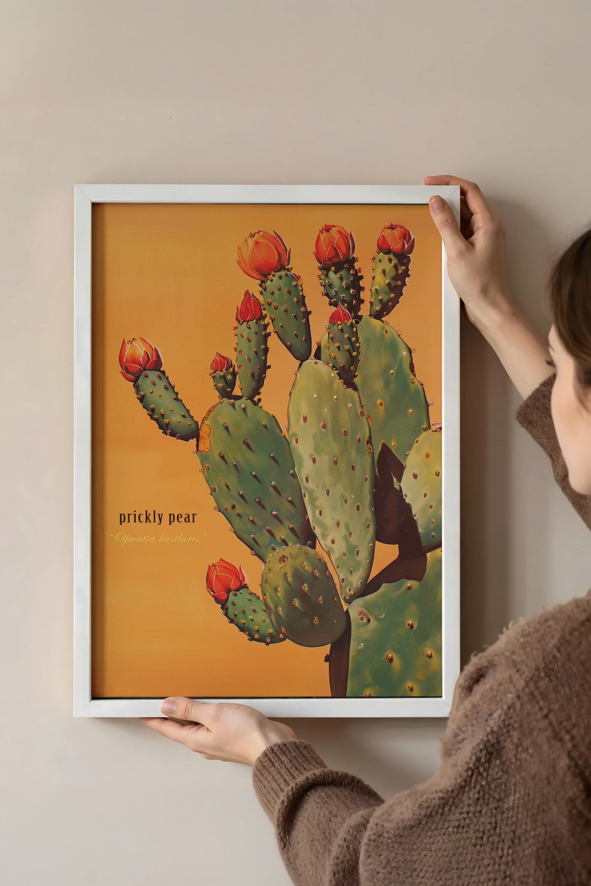 Çiçek Açan Kaktüs Poster – Beyaz Çerçeveli Tablo