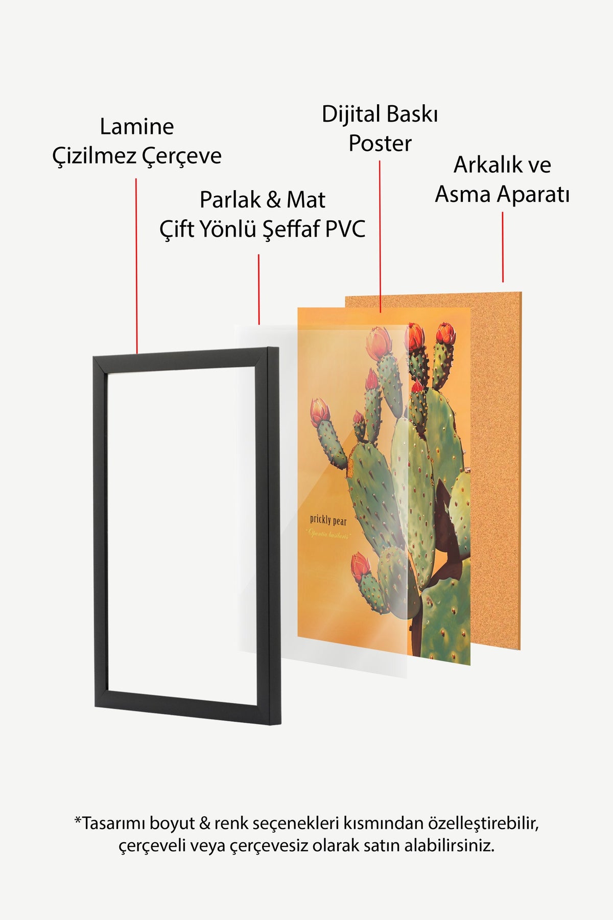 Çiçek Açan Kaktüs Poster – Siyah Çerçeveli Tablo