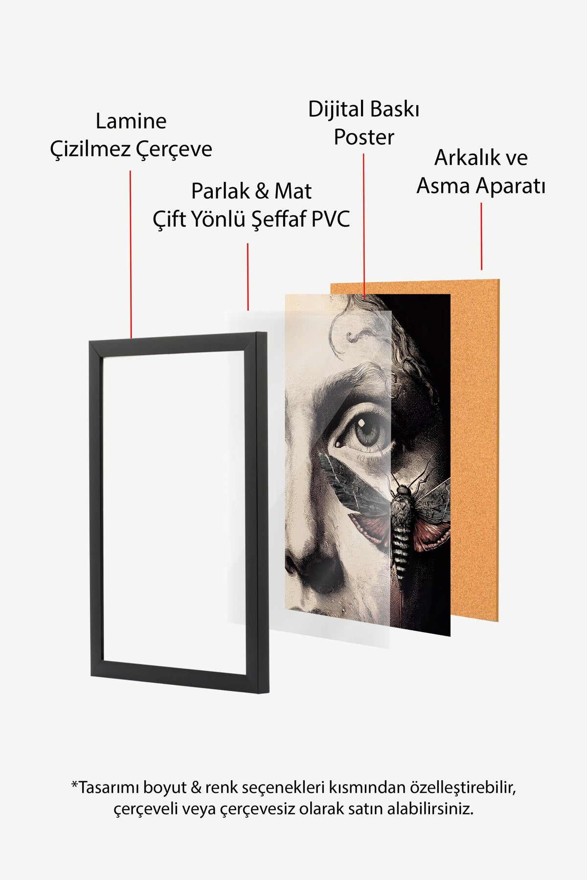 Göz ve Güve Poster – Siyah Çerçeveli Tablo