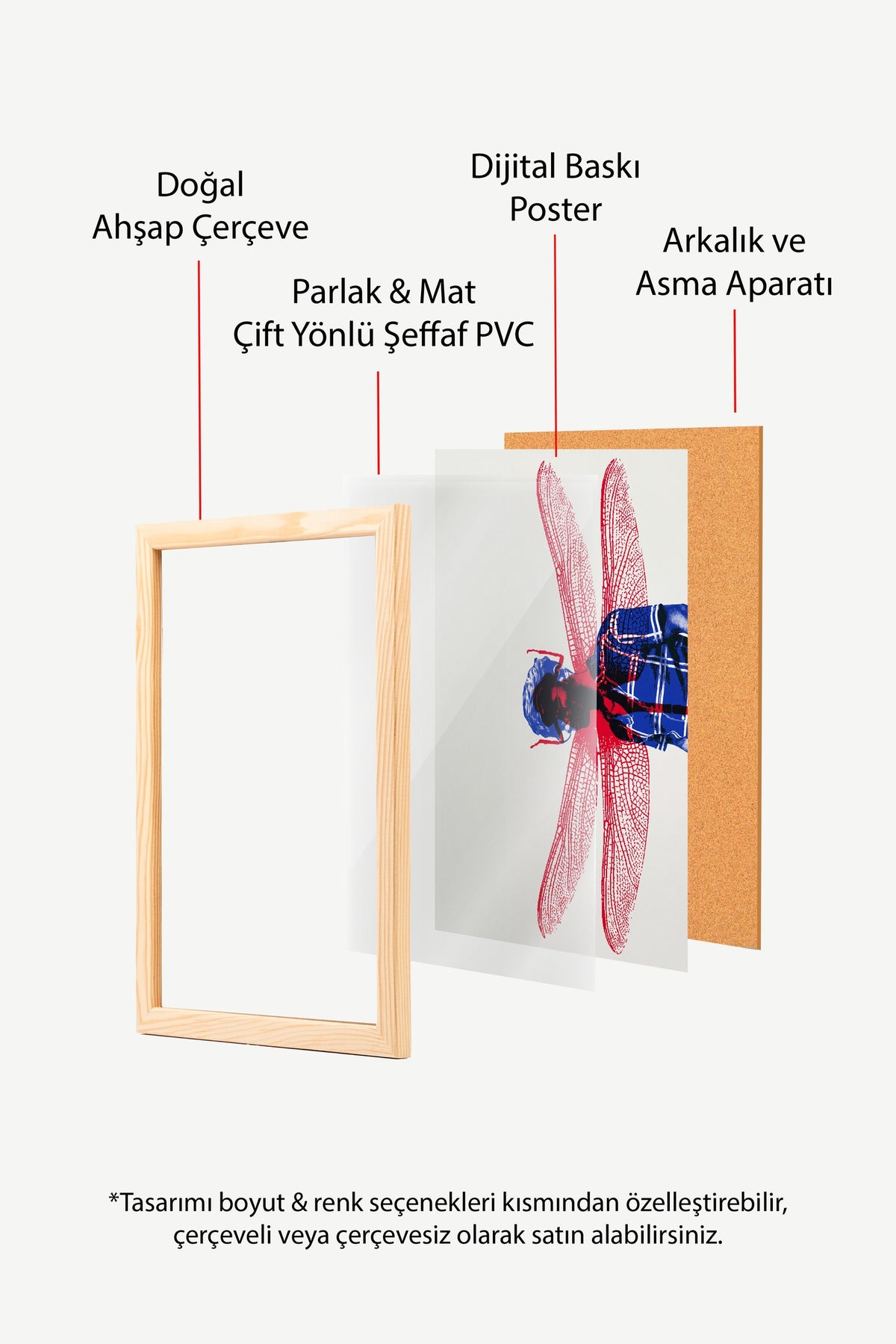 Kırmızı Kanatlı Yusufçuk Kolajı Poster – Ahşap Çerçeveli Tablo