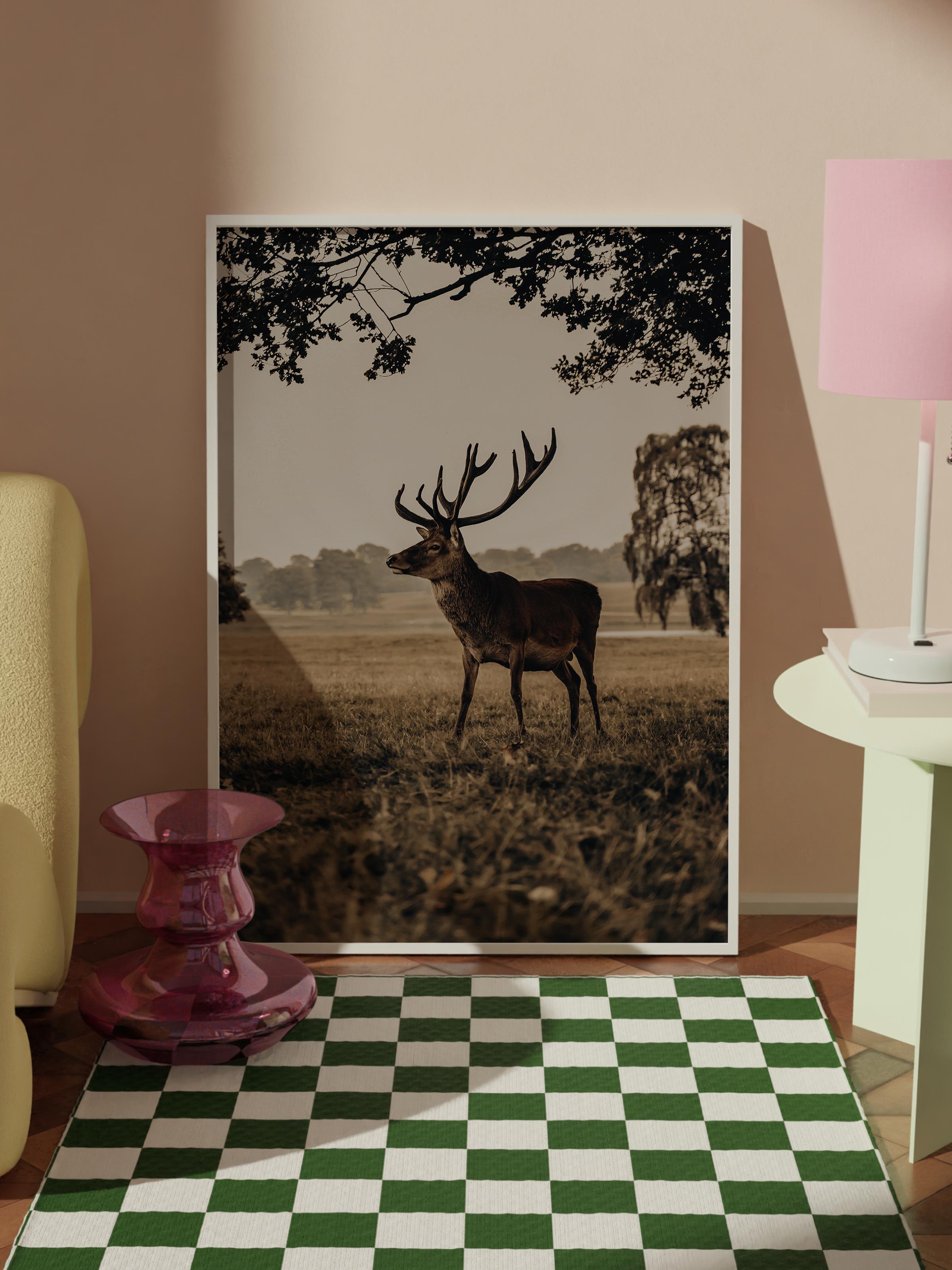 Rustic Vintage Tablo Seti, 3 Adet Beyaz Çerçeve ve Poster - Salon, Mutfak, Yatak Odası Duvar Dekor