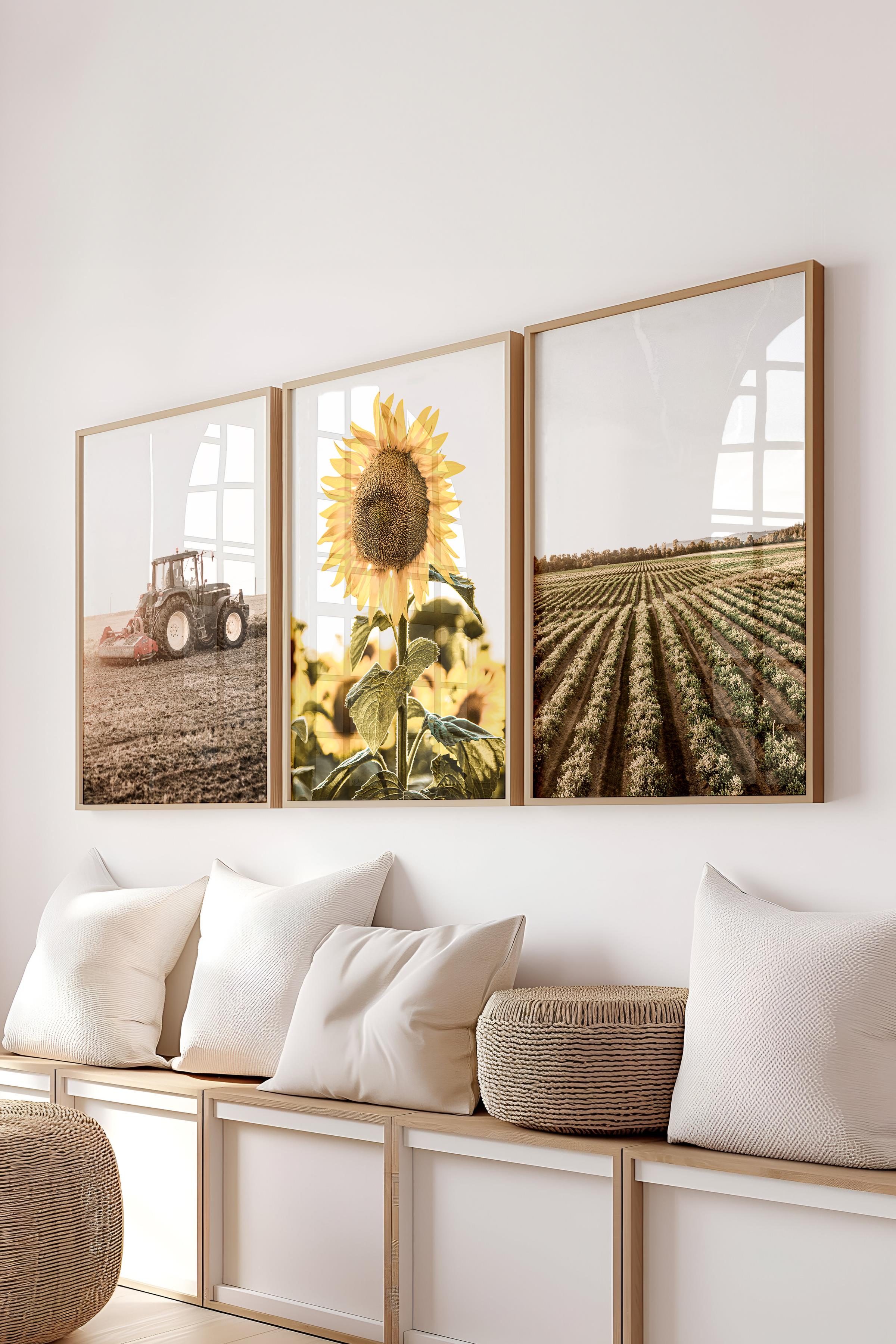 Farmhouse Ayçiçeği Tablo Seti, 3 Adet Ahşap Çerçeve ve Poster - Salon, Mutfak, Yatak Odası Dekor