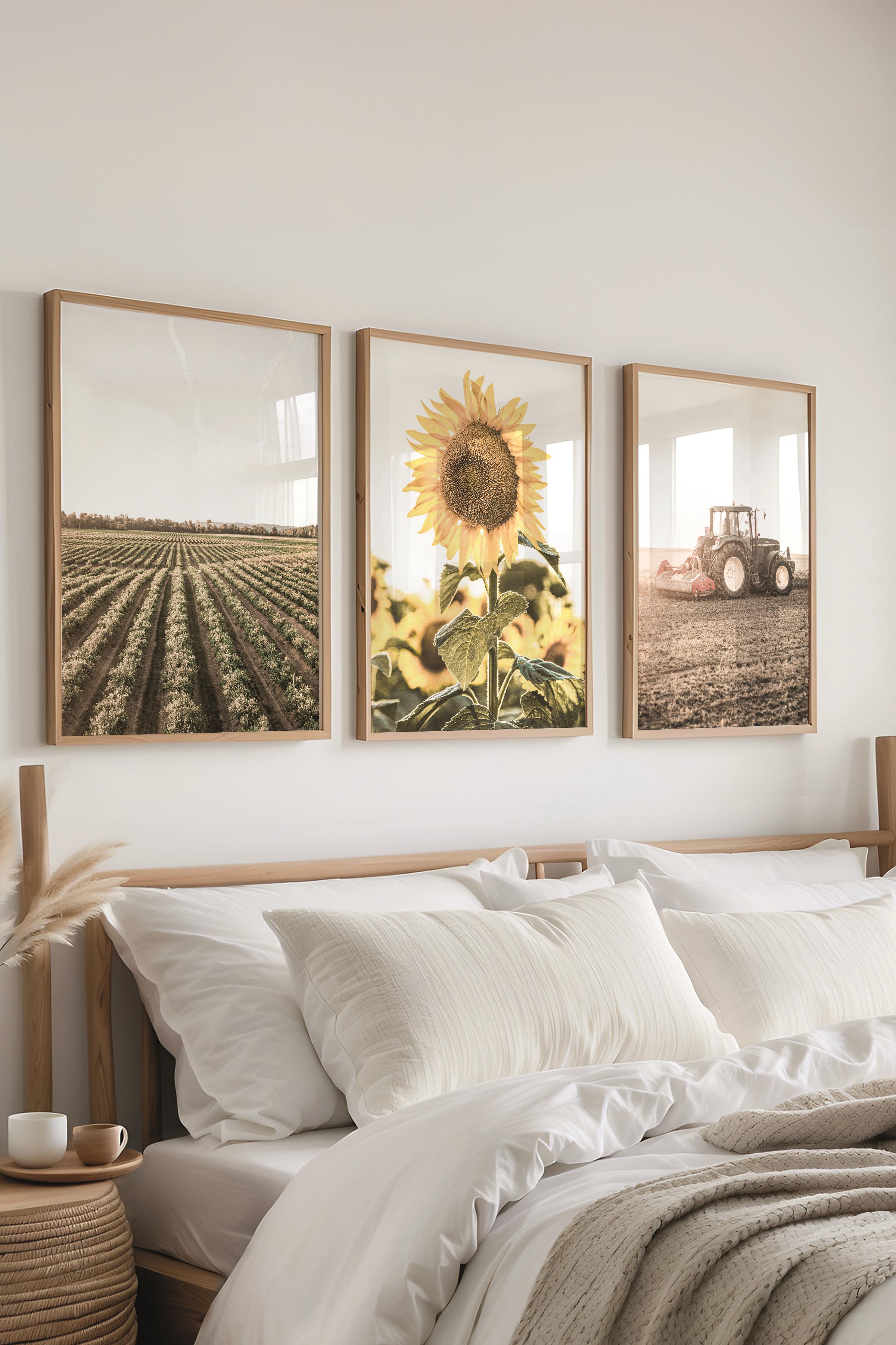 Farmhouse Ayçiçeği Tablo Seti, 3 Adet Ahşap Çerçeve ve Poster - Salon, Mutfak, Yatak Odası Dekor