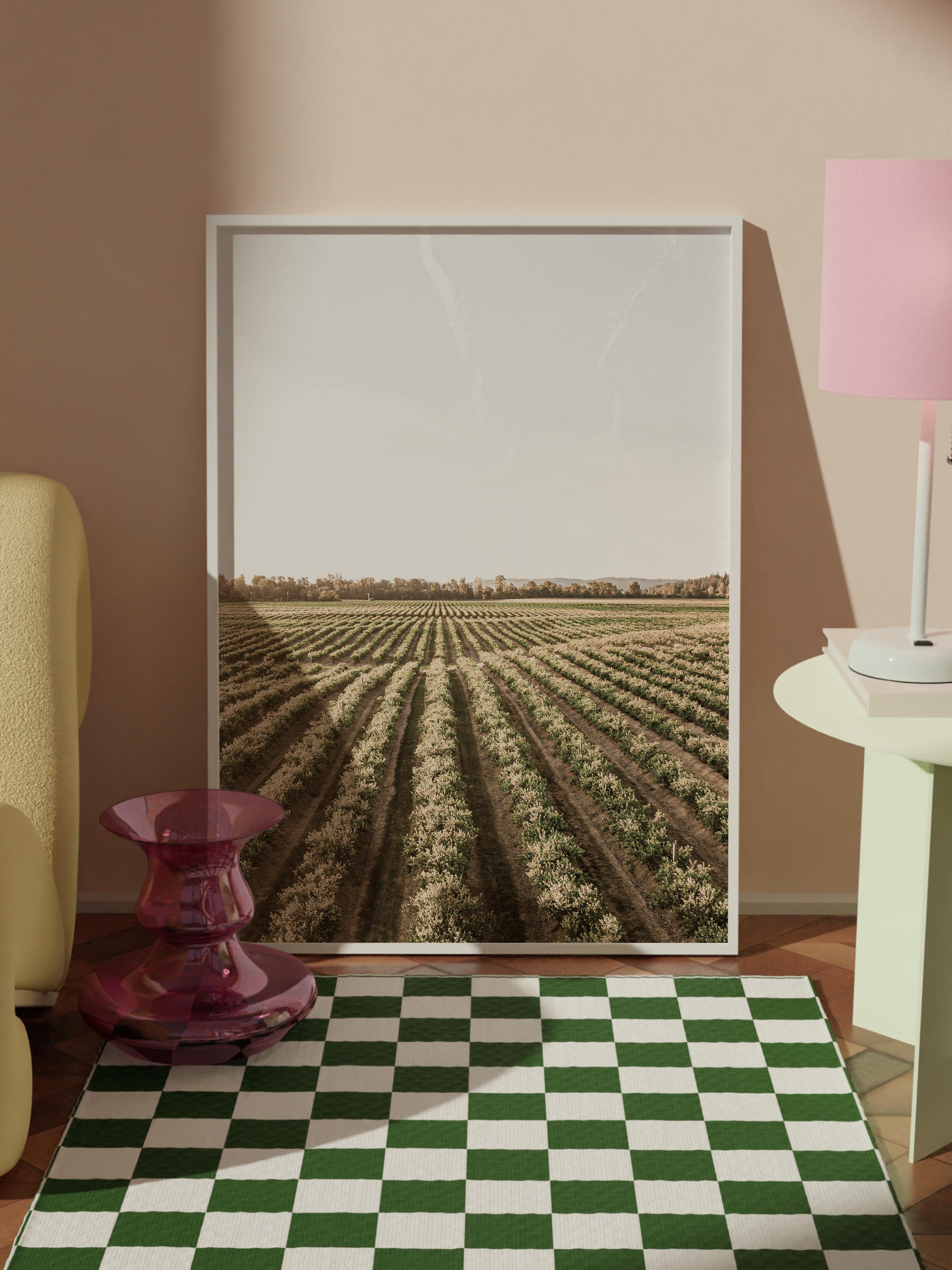 Farmhouse Ayçiçeği Tablo Seti, 3 Adet Beyaz Çerçeve ve Poster - Salon, Mutfak, Yatak Odası Dekor
