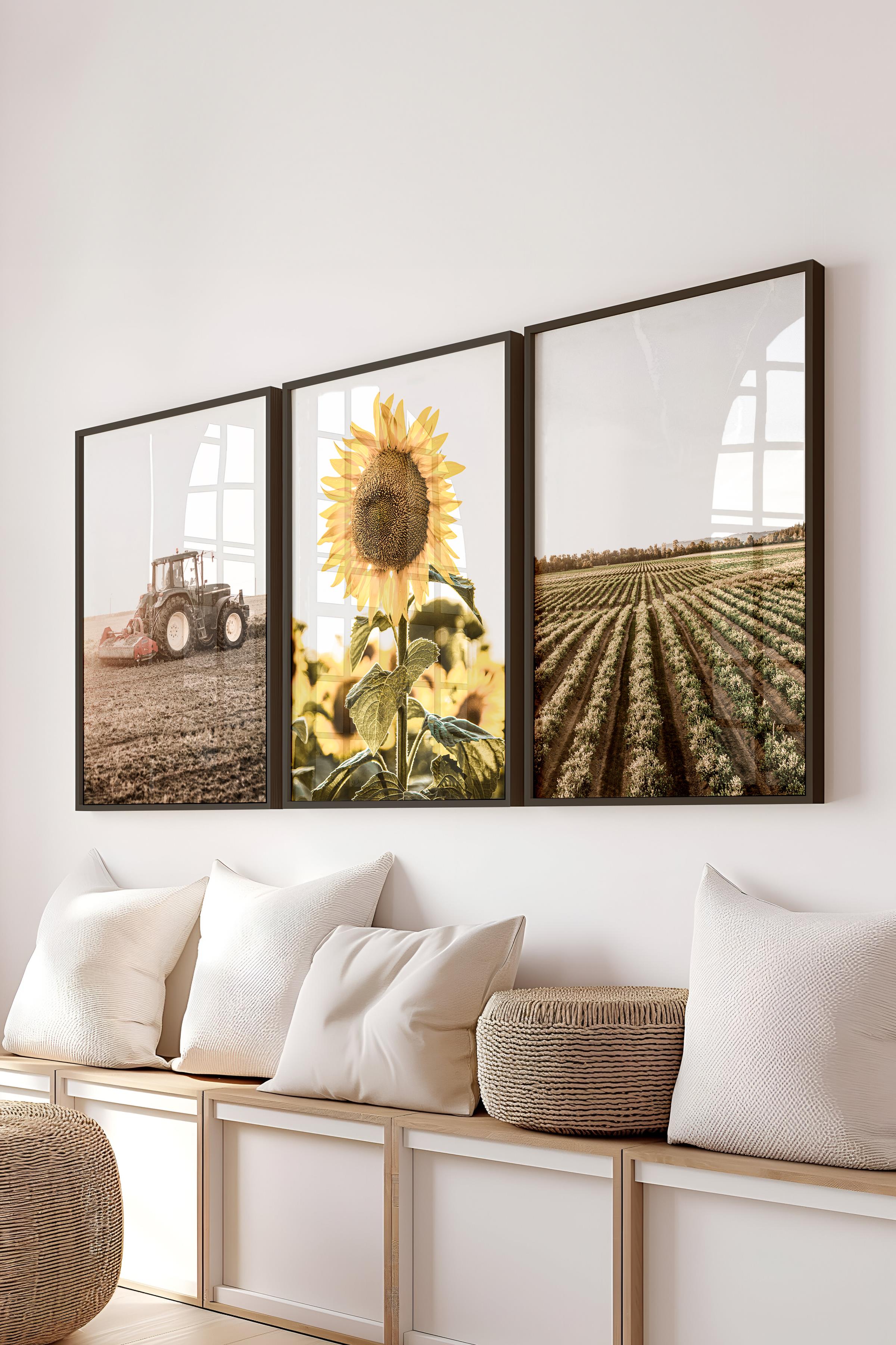 Farmhouse Ayçiçeği Tablo Seti, 3 Adet Siyah Çerçeve ve Poster - Salon, Mutfak, Yatak Odası Dekor