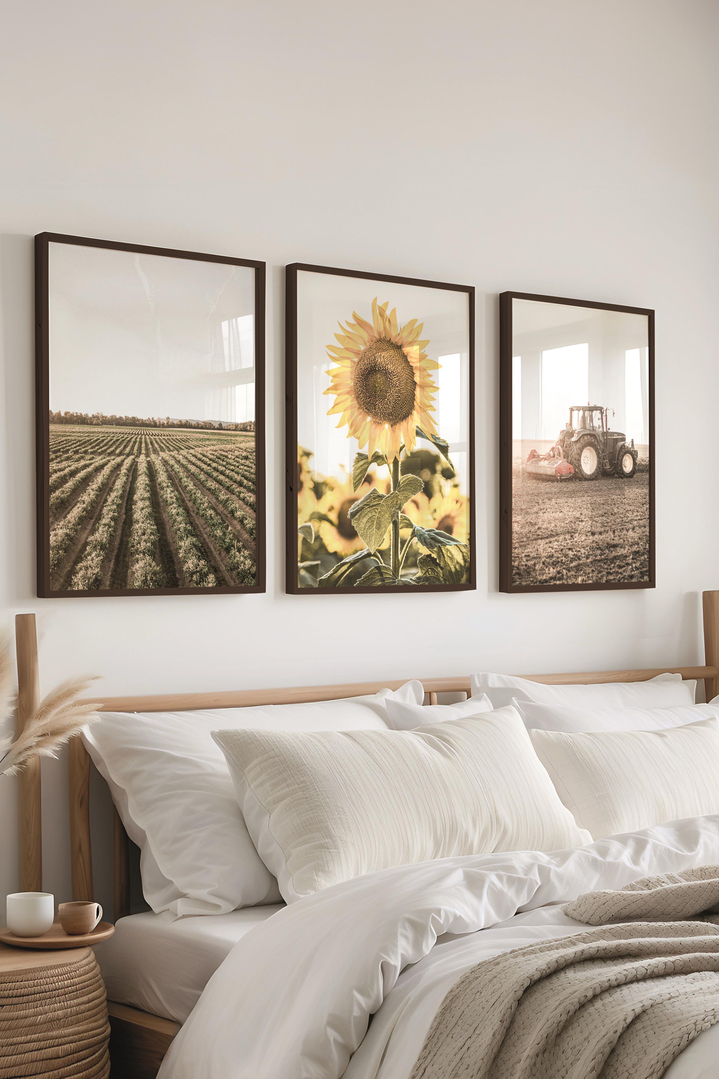 Farmhouse Ayçiçeği Tablo Seti, 3 Adet Siyah Çerçeve ve Poster - Salon, Mutfak, Yatak Odası Dekor