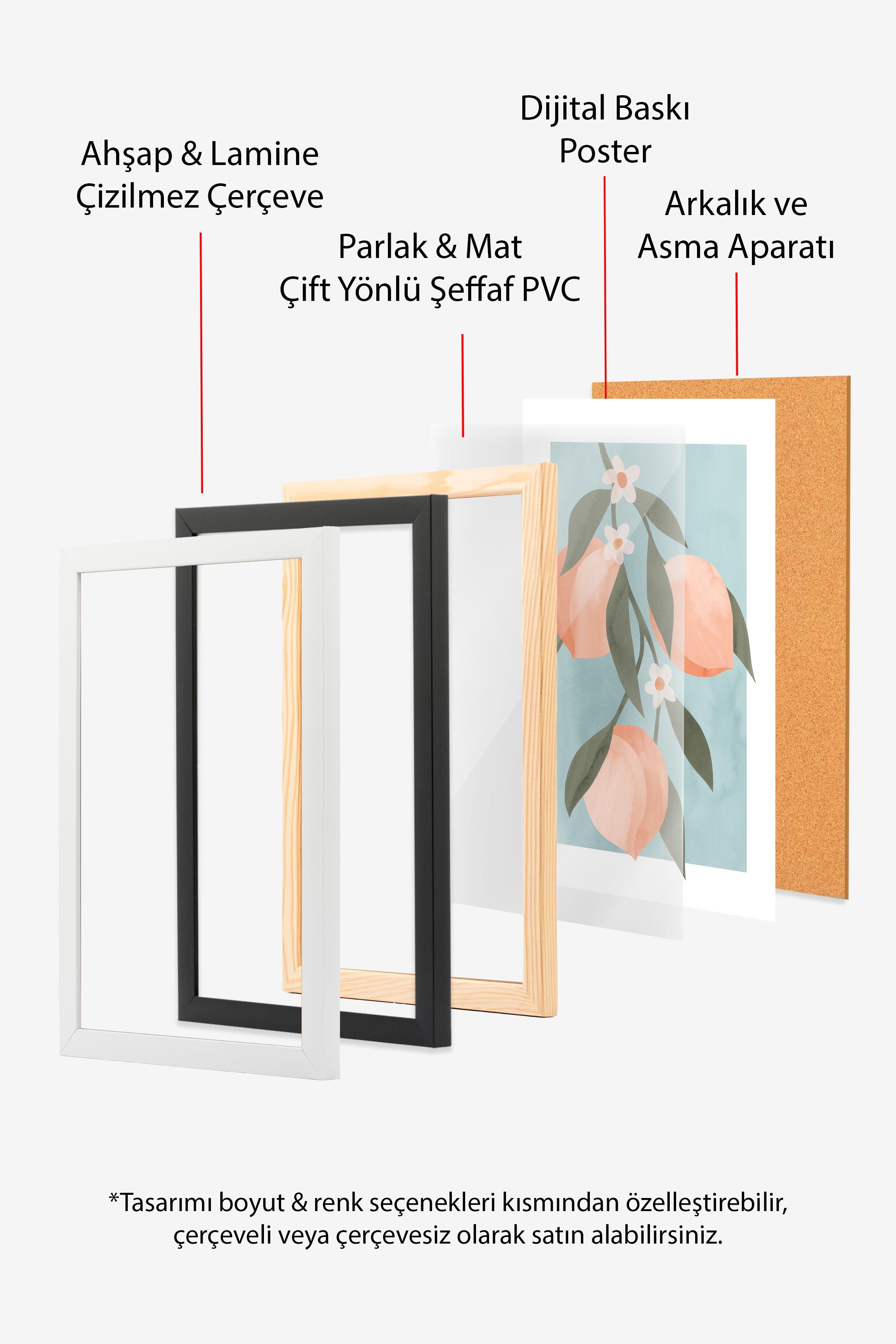 Abstract Peach Branch Siyah Çerçeveli Tablo, Duvar Tablosu Comfort Serisi NO:108523