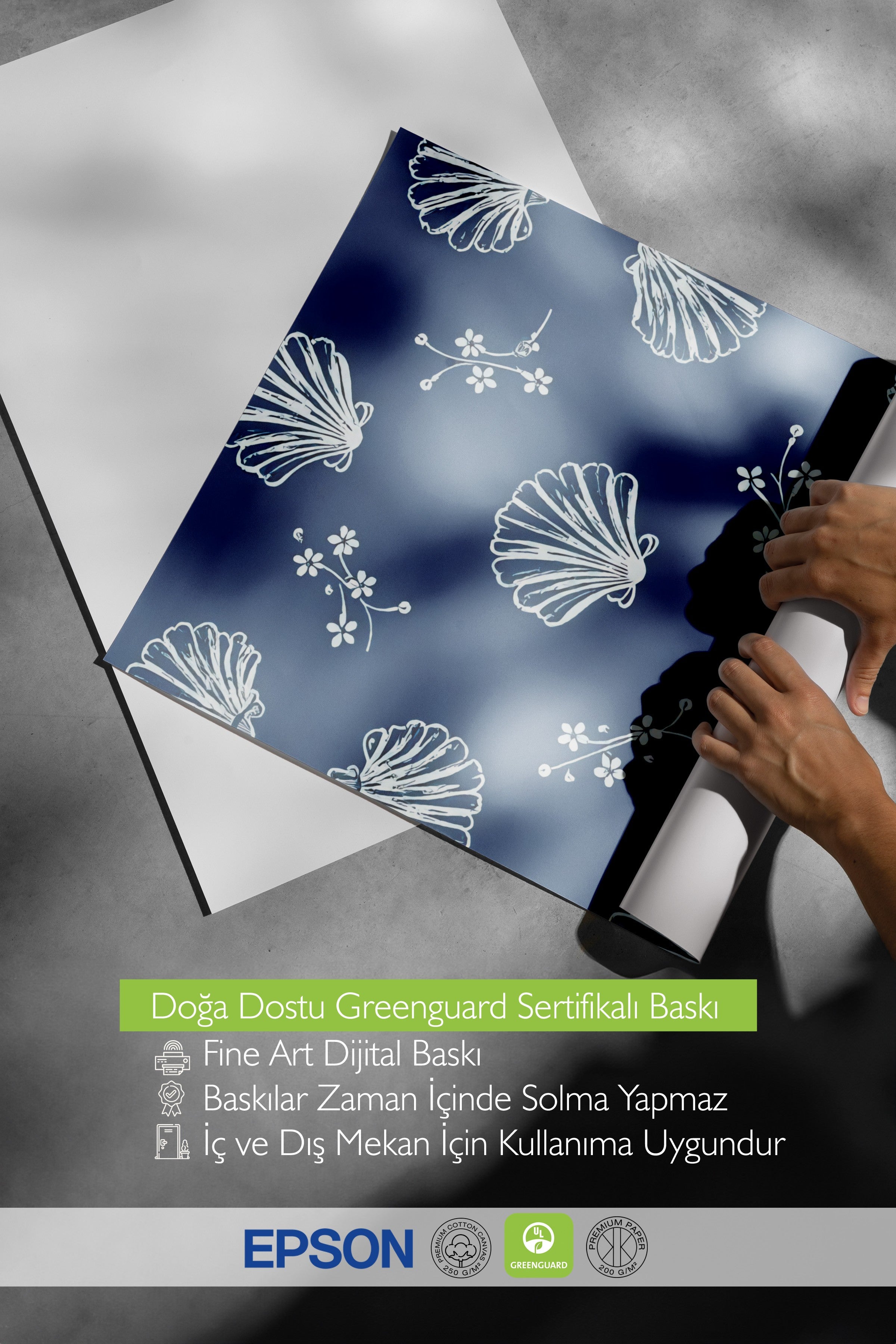 Ahşap Çerçeveli Poster, Deniz Kabuğu, İllüstrasyon, Mavi Renk Poster, 2025 Yaz Seçkisi, NO:109555