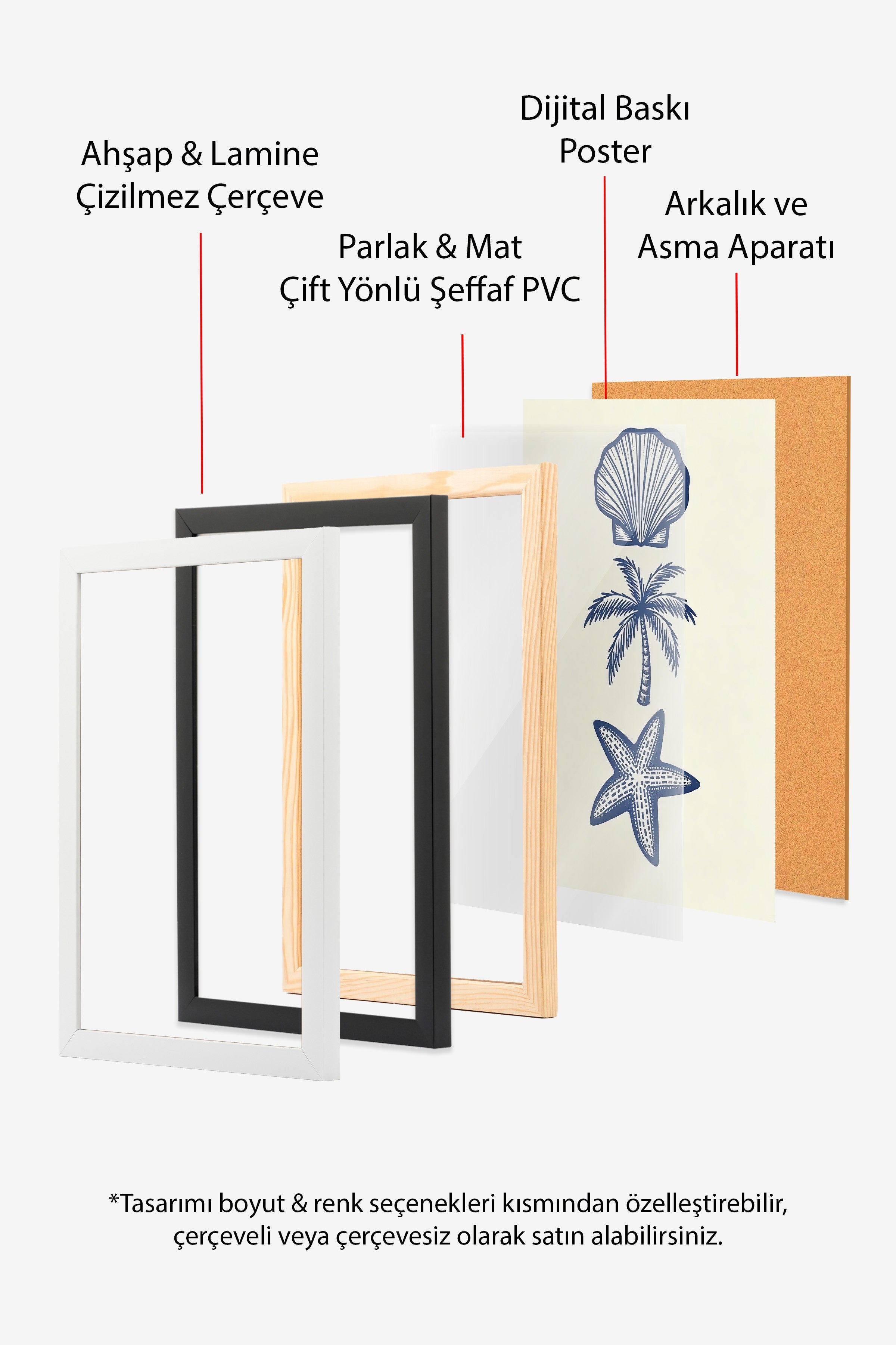Ahşap Çerçeveli Poster, Deniz Kabuğu, İllüstrasyon, Mavi Renk Poster, 2025 Yaz Seçkisi, NO:109570