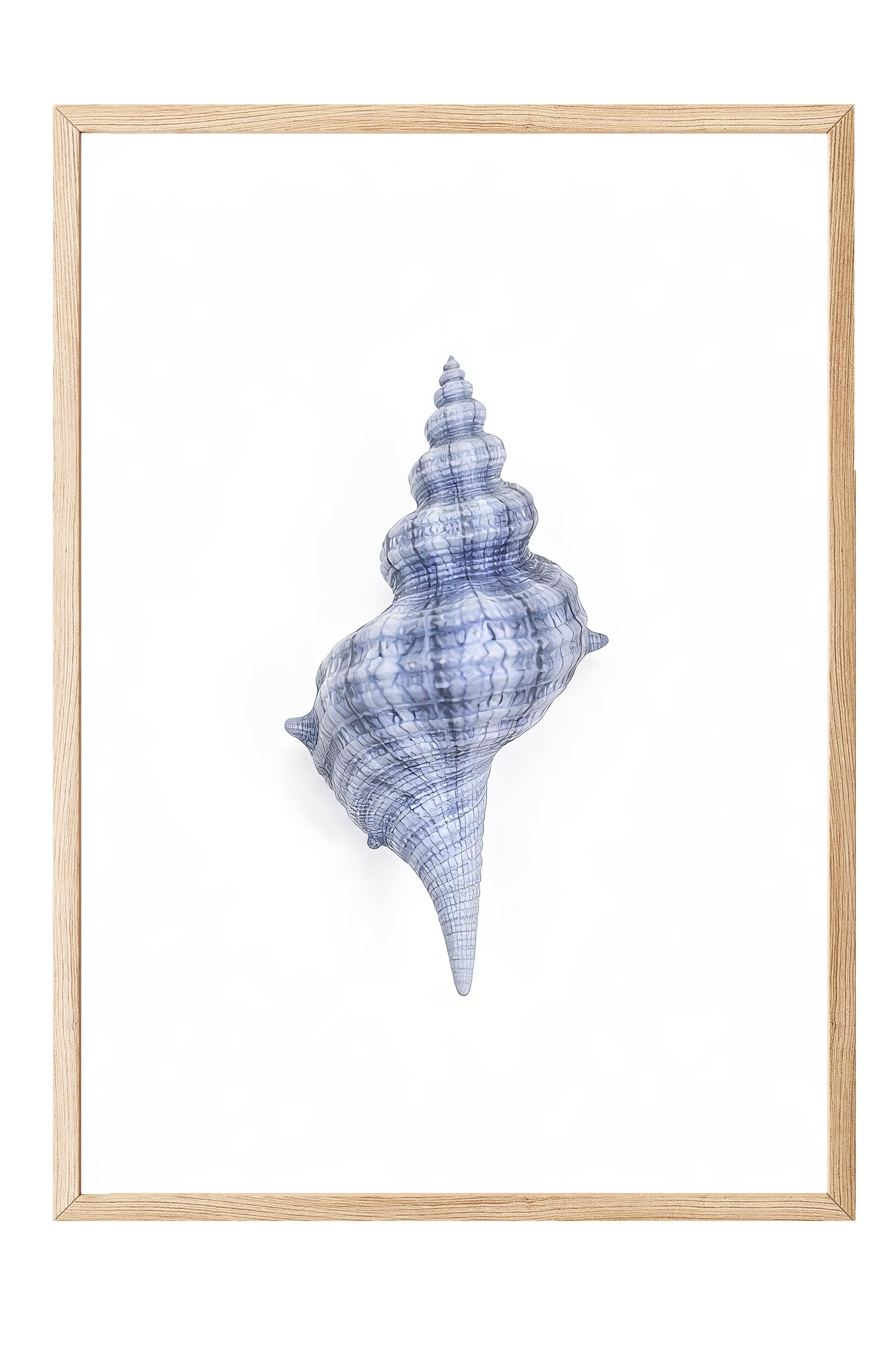 Ahşap Çerçeveli Poster, Deniz Kabuğu, İllüstrasyon, Mavi Renk Poster, 2025 Yaz Seçkisi, NO:109579