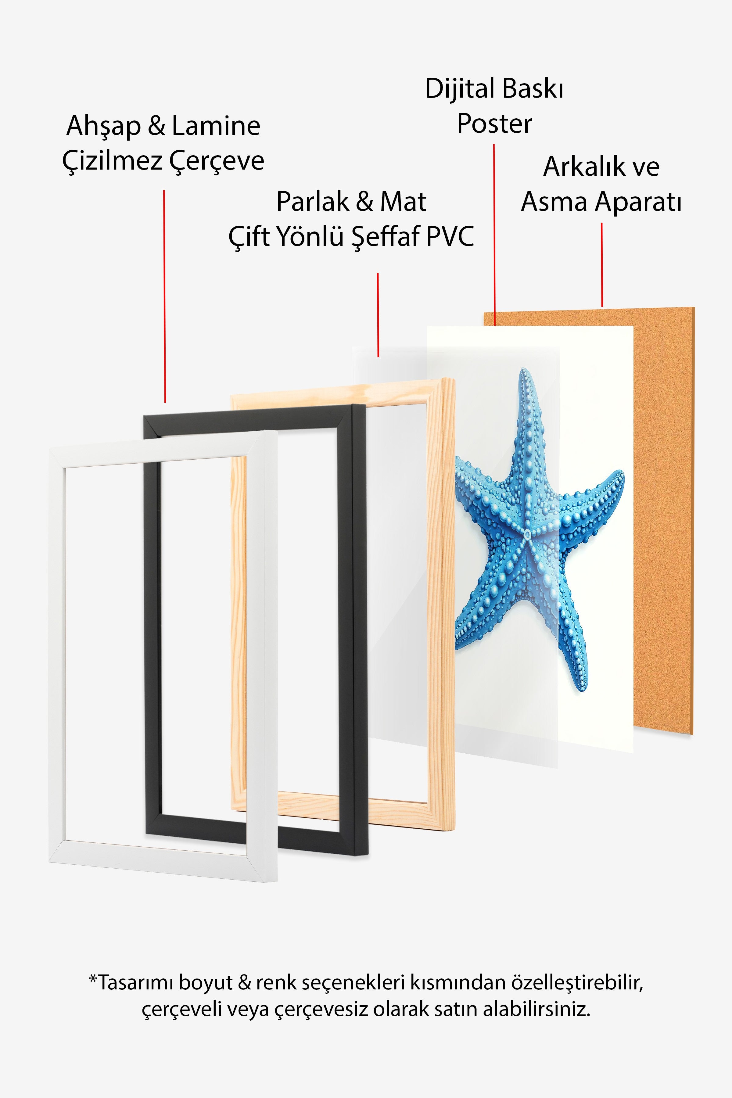 Ahşap Çerçeveli Poster, Deniz Yıldızı, İllüstrasyon, Mavi Renk Poster, 2025 Yaz Seçkisi, NO:109668