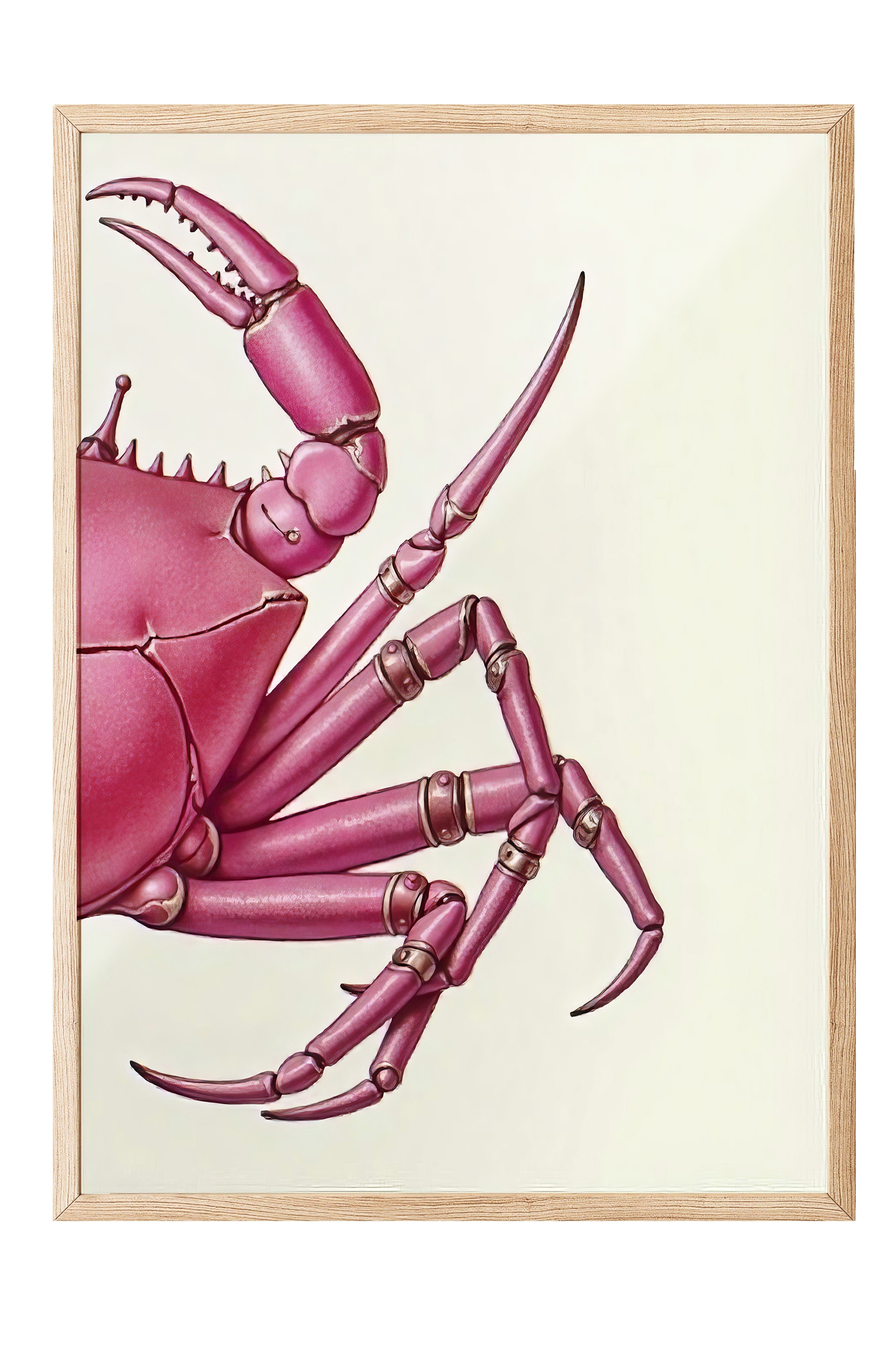 Ahşap Çerçeveli Poster, Pembe Yengeç, İllüstrasyon, Pembe Renk Poster, 2025 Yaz Seçkisi, NO:109598