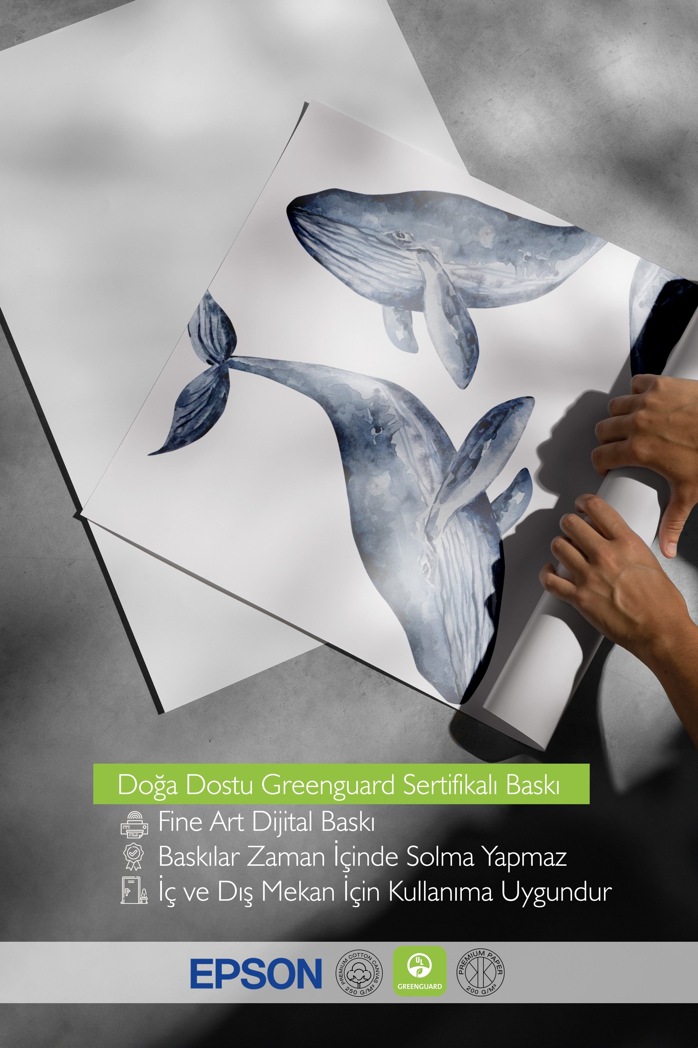Ahşap Çerçeveli Tablo, Balina, Suluboya, Mavi, Beyaz Renk Poster, 2025 Yaz Seçkisi, NO:109833