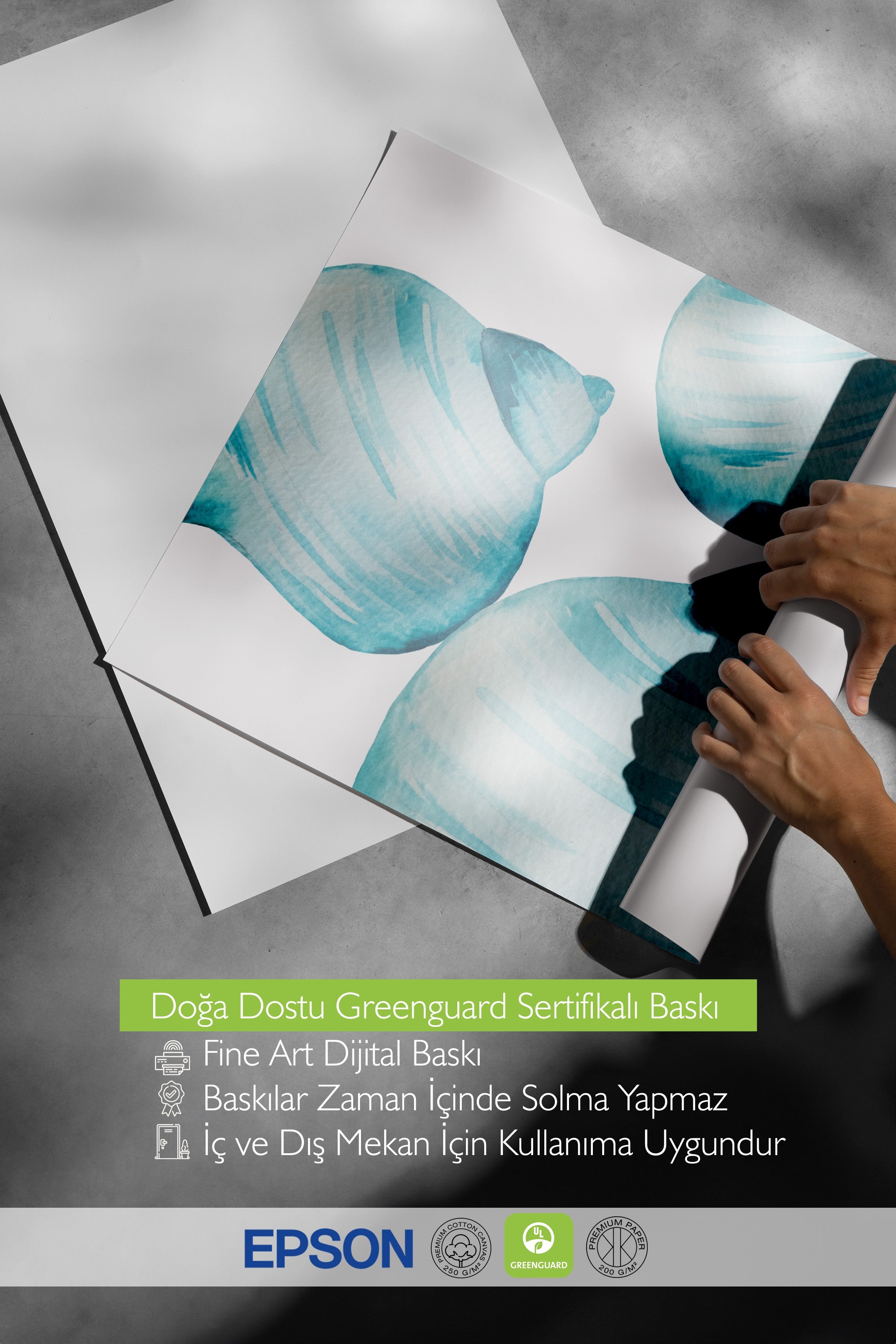 Ahşap Çerçeveli Tablo, Kabuk, Suluboya, Mavi, Beyaz Renk Poster, 2025 Yaz Seçkisi, NO:109832
