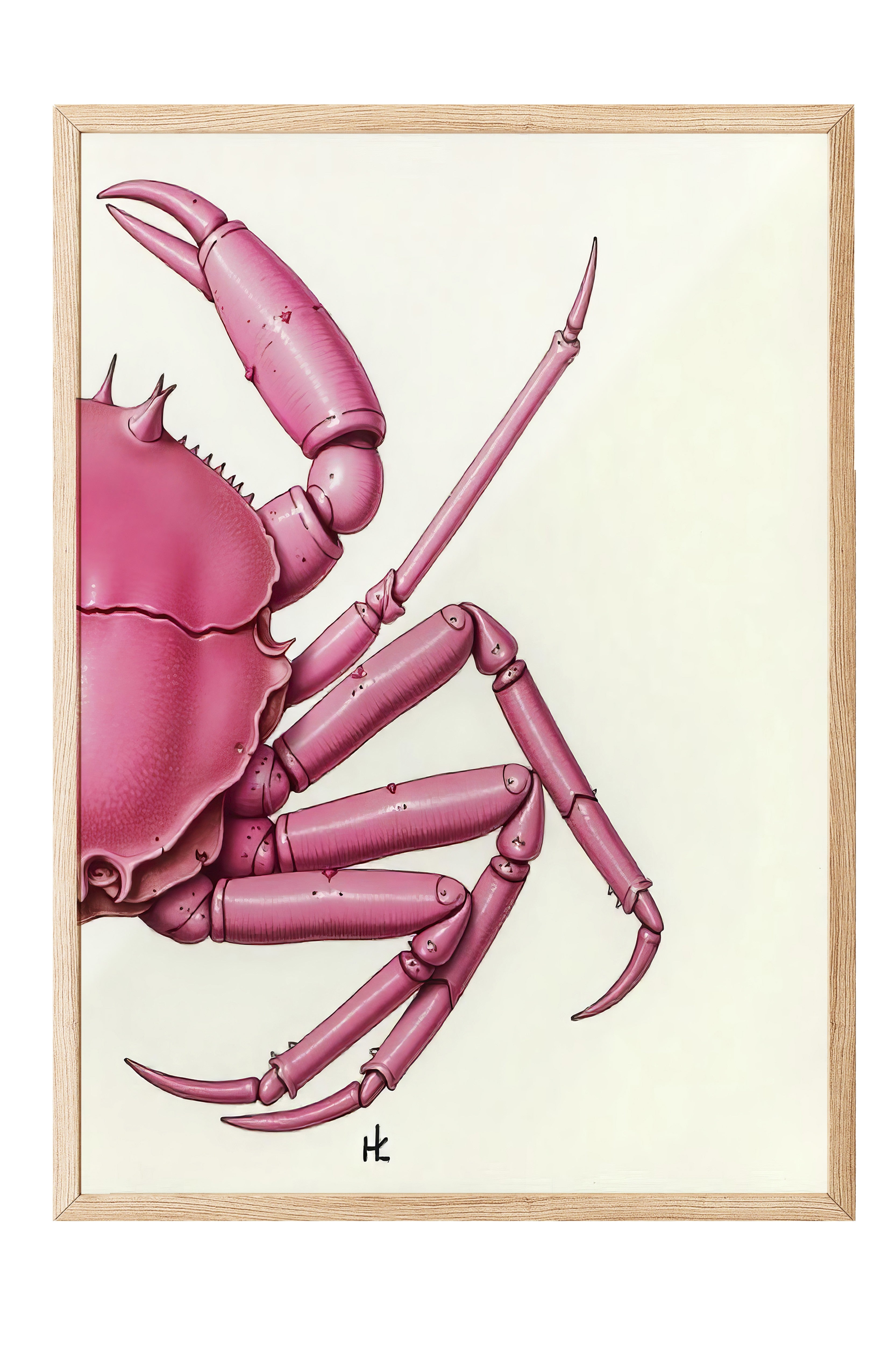 Ahşap Çerçeveli Tablo, Pembe Yengeç, İllüstrasyon, Pembe Renk Poster, 2025 Yaz Seçkisi, NO:109721