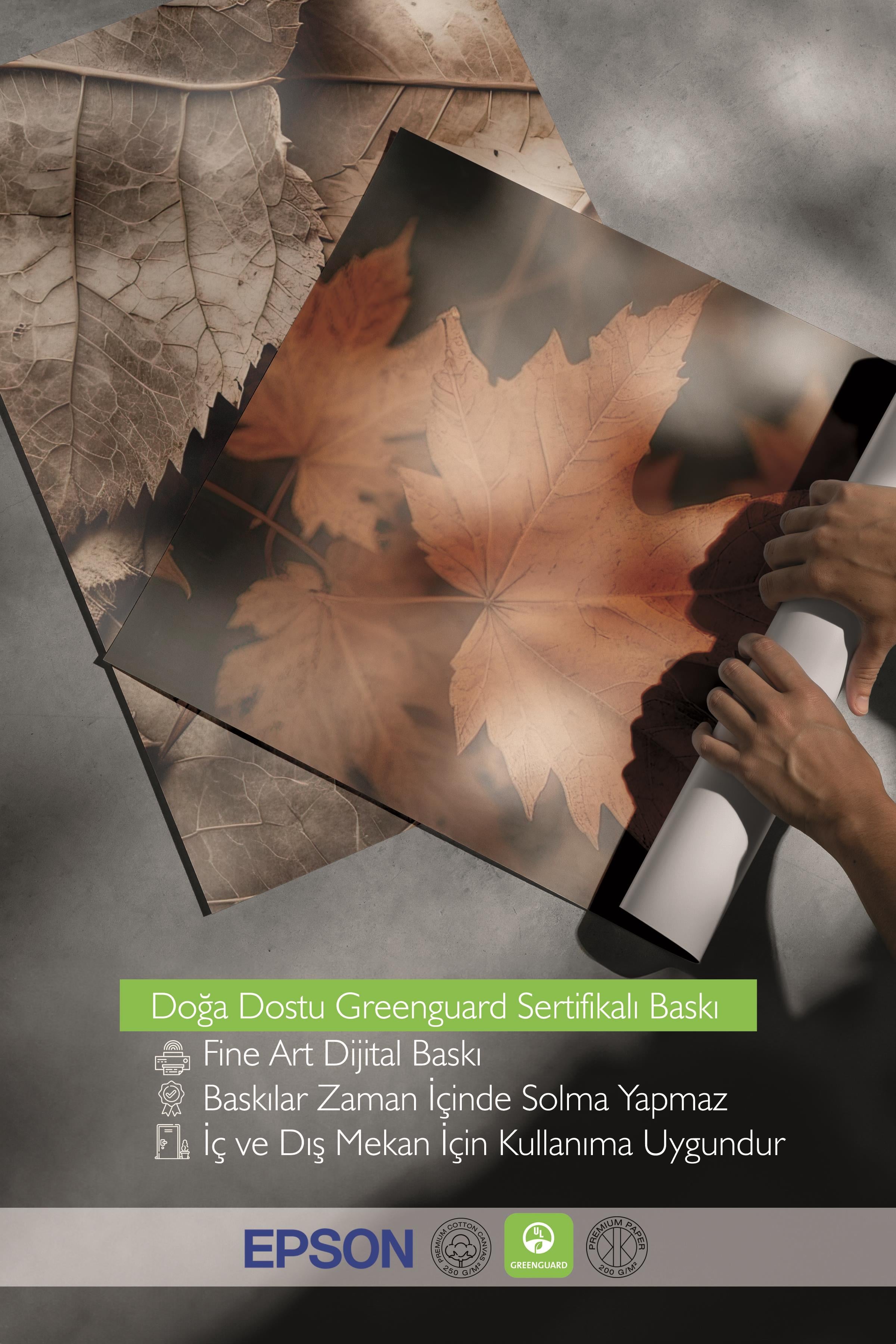 Ahşap Çerçeveli Tablo Seti, Sonbahar Fotoğrafları Duvar Tablosu, 3 Adet Poster Seti, No:300706