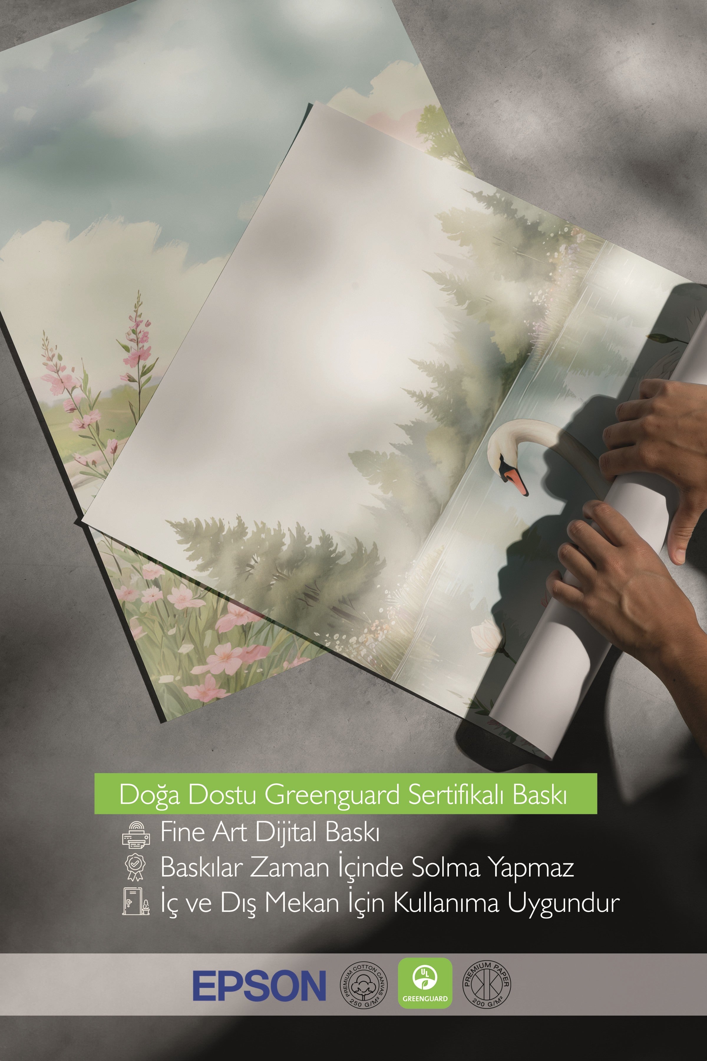 Ahşap Tablo Seti, 3 Adet Ahşap Çerçeveli Poster Swan Nature Model No:300804, Multicolor Duvar Dekoru