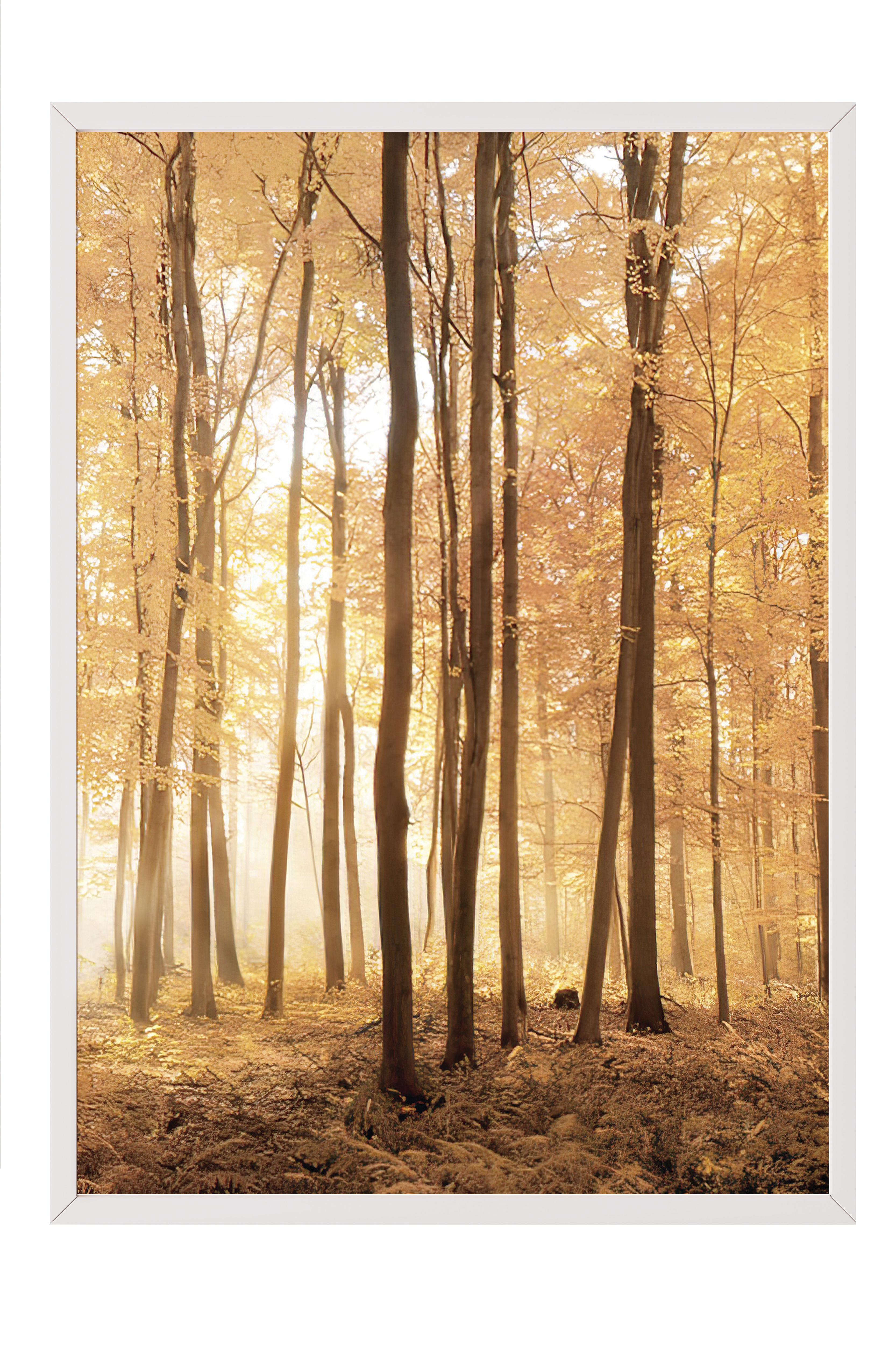 Autumn Trees Çerçeveli Tablo, Beyaz Çerçeve ve Poster, Dikey Duvar Tablosu Comfort Serisi NO:108347
