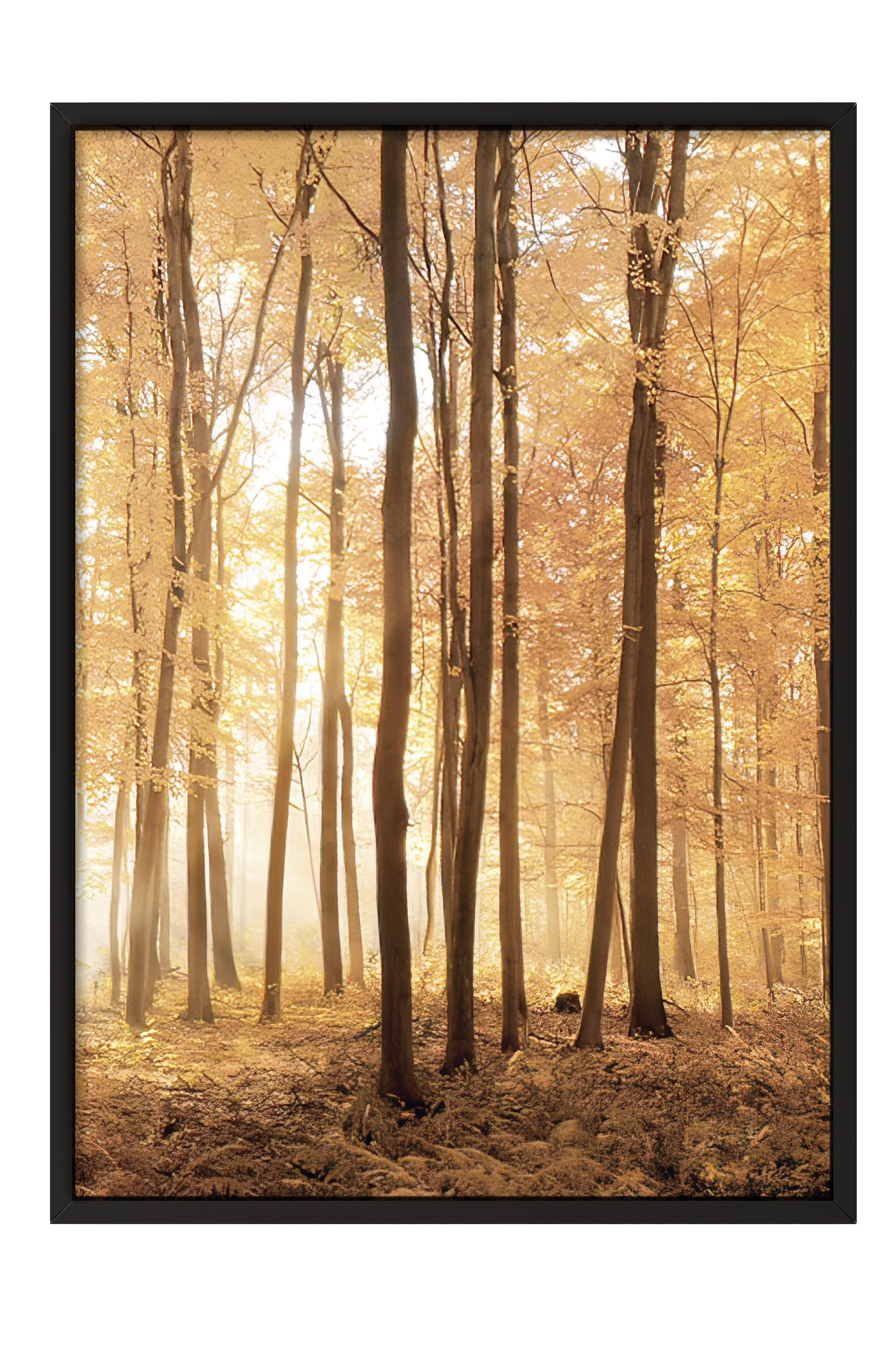 Autumn Trees Çerçeveli Tablo, Siyah Çerçeve ve Poster, Dikey Duvar Tablosu Comfort Serisi NO:108347