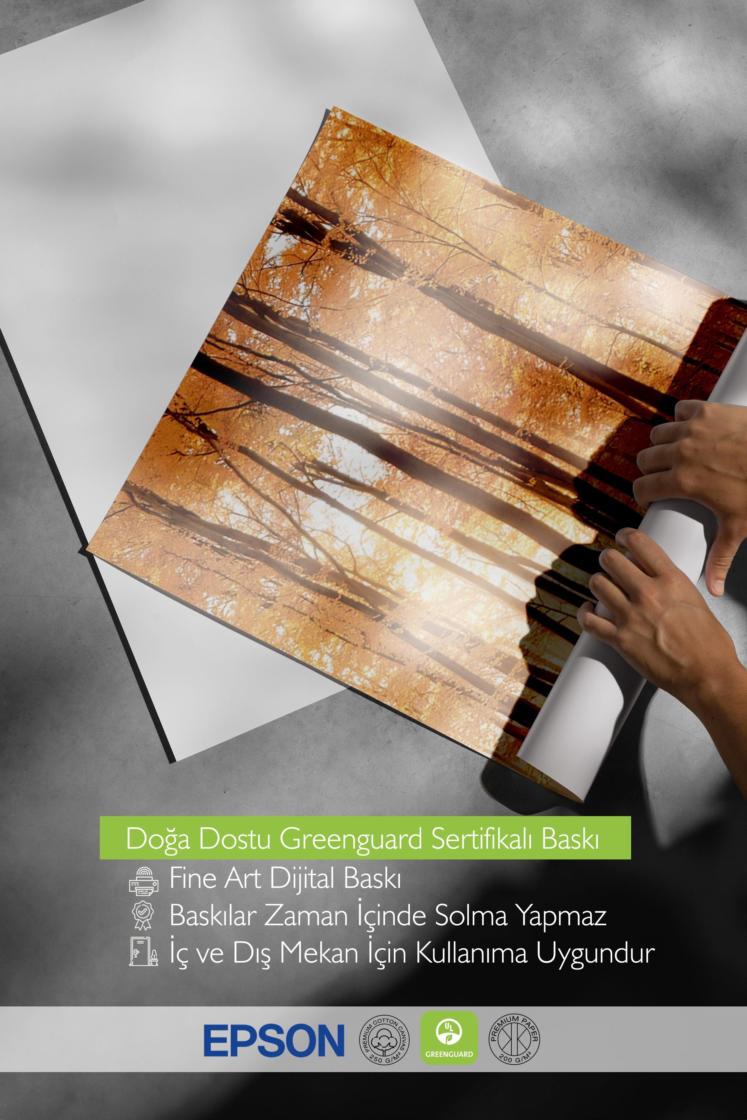 Autumn Trees Poster, Çerçevesiz Duvar Posteri, Dikey Duvar Tablosu Comfort Serisi NO:108347