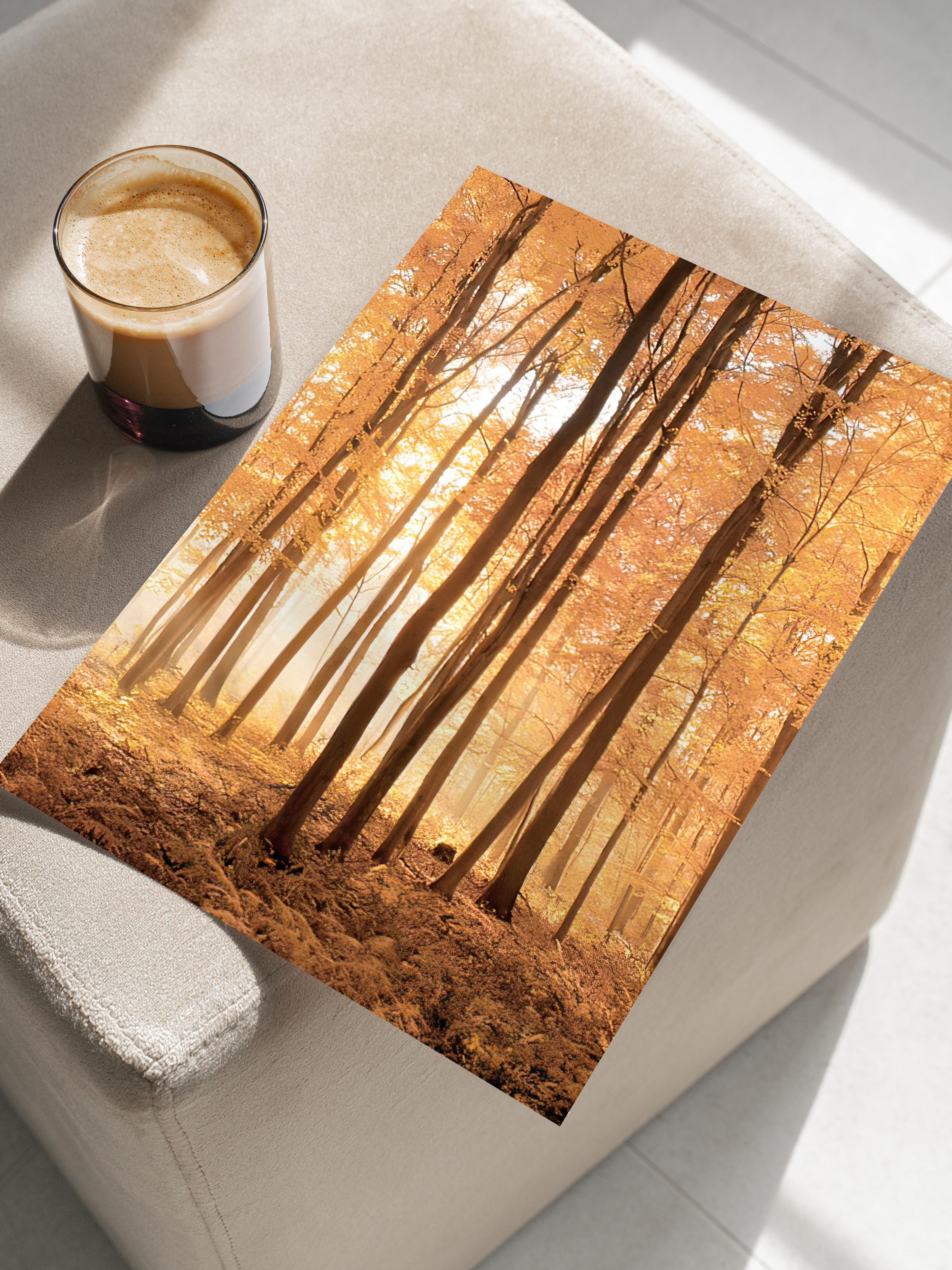 Autumn Trees Poster, Çerçevesiz Duvar Posteri, Dikey Duvar Tablosu Comfort Serisi NO:108347